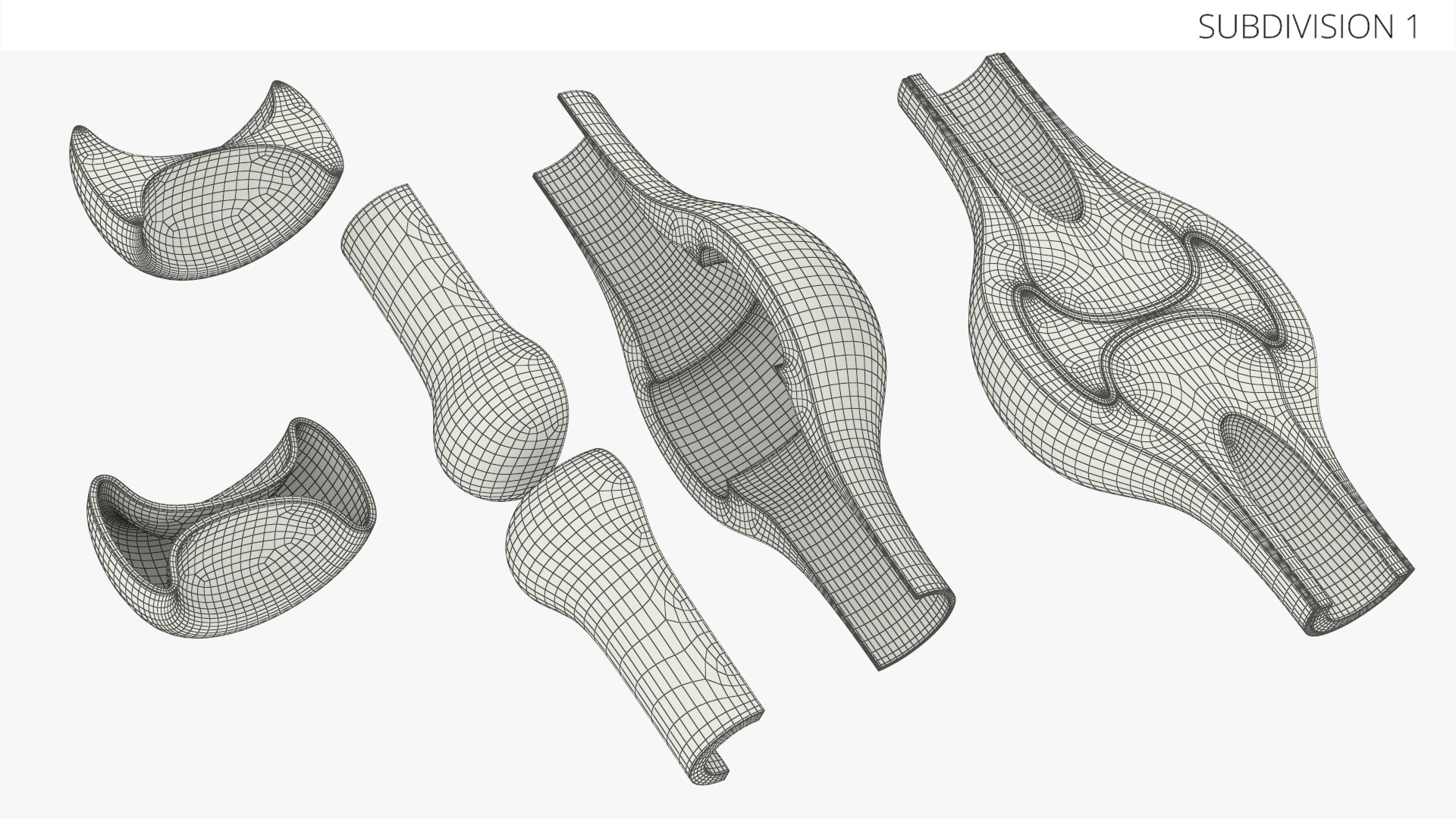 Synovial Joint Cross Section - view 9