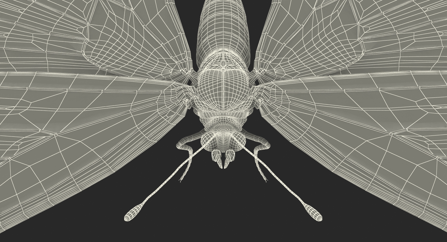 3D model Aglais io Butterfly with Fur Rigged