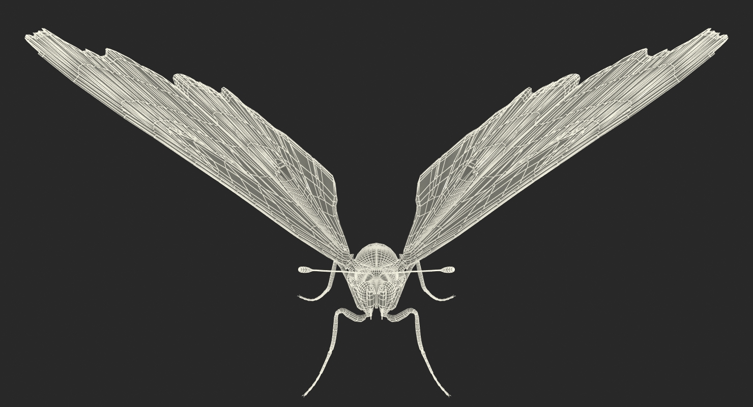 3D model Aglais io Butterfly with Fur Rigged