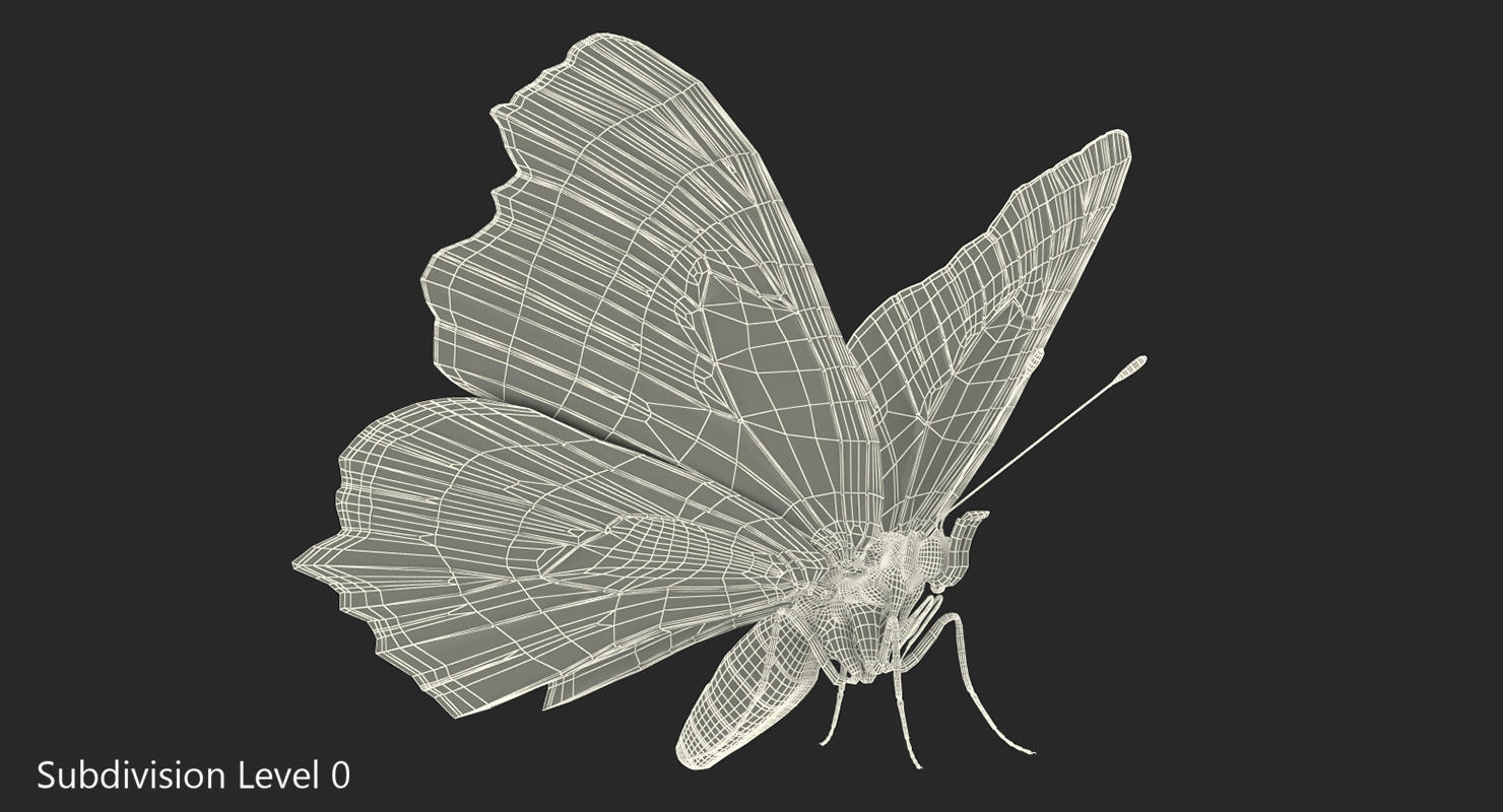 3D model Aglais io Butterfly with Fur Rigged