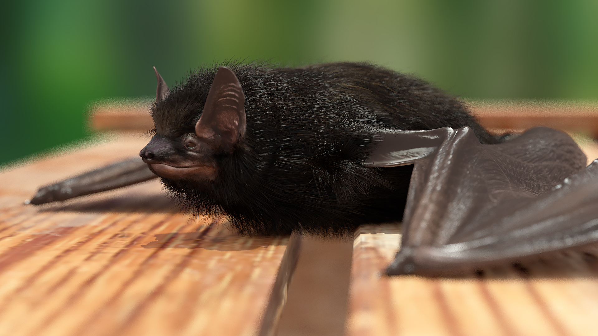 3D Black Bat Pose Fur model