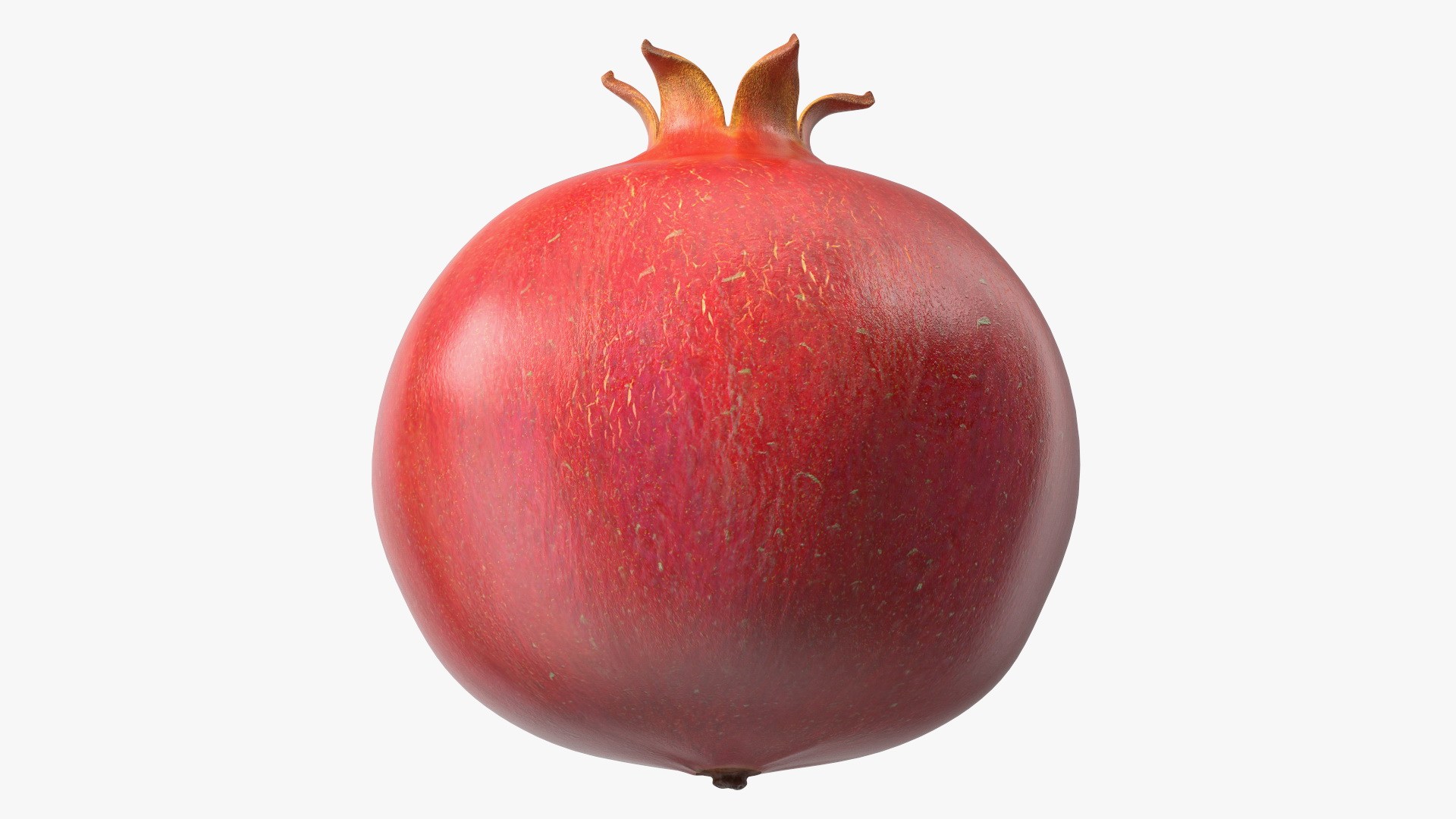 3D Fresh Pomegranate Fruit model