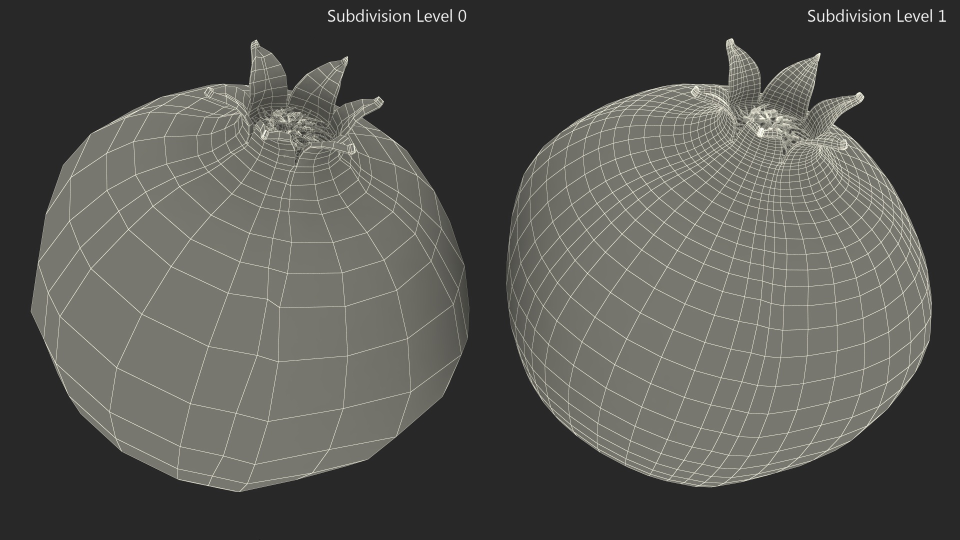 3D Fresh Pomegranate Fruit model