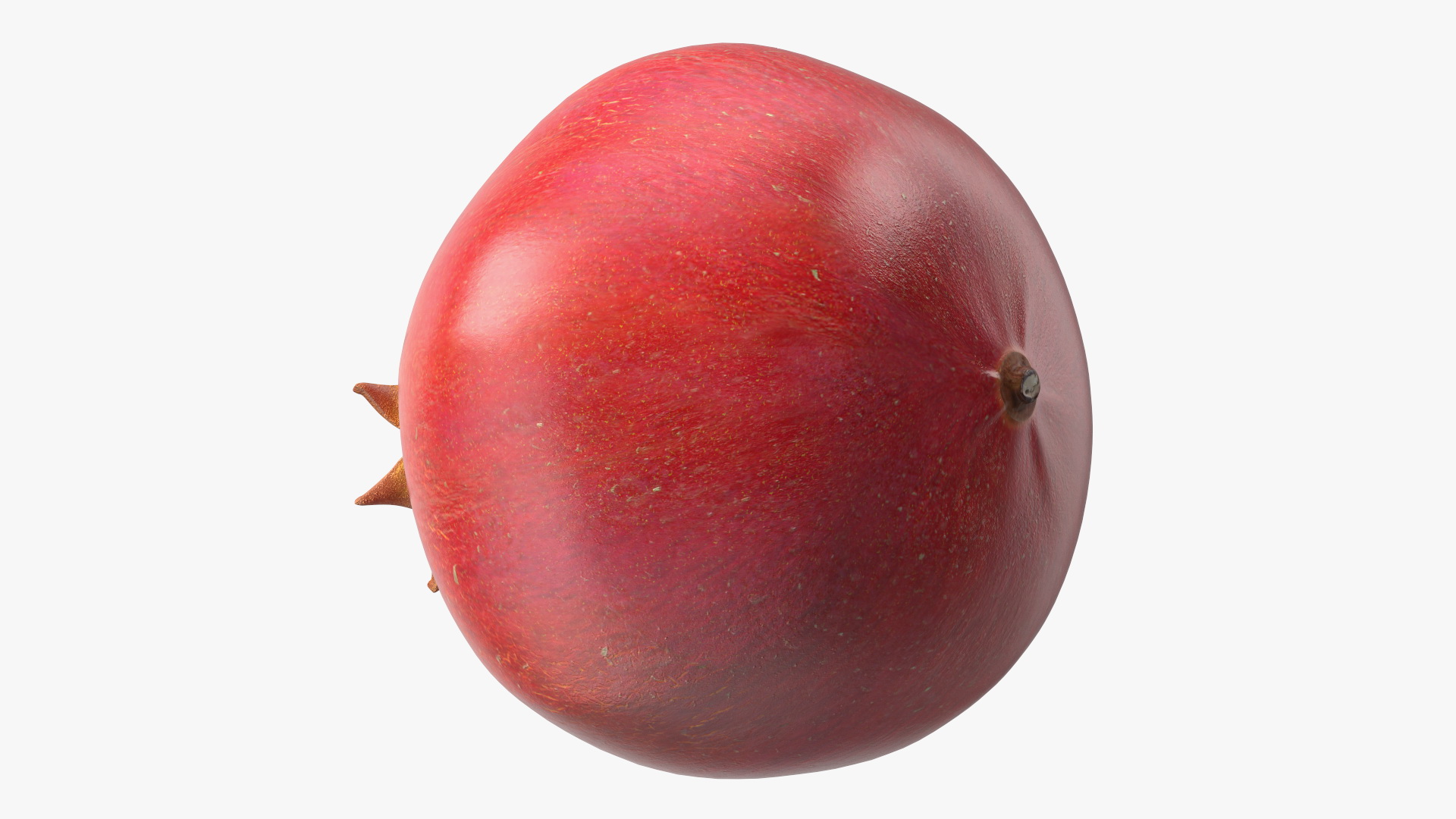 3D Fresh Pomegranate Fruit model