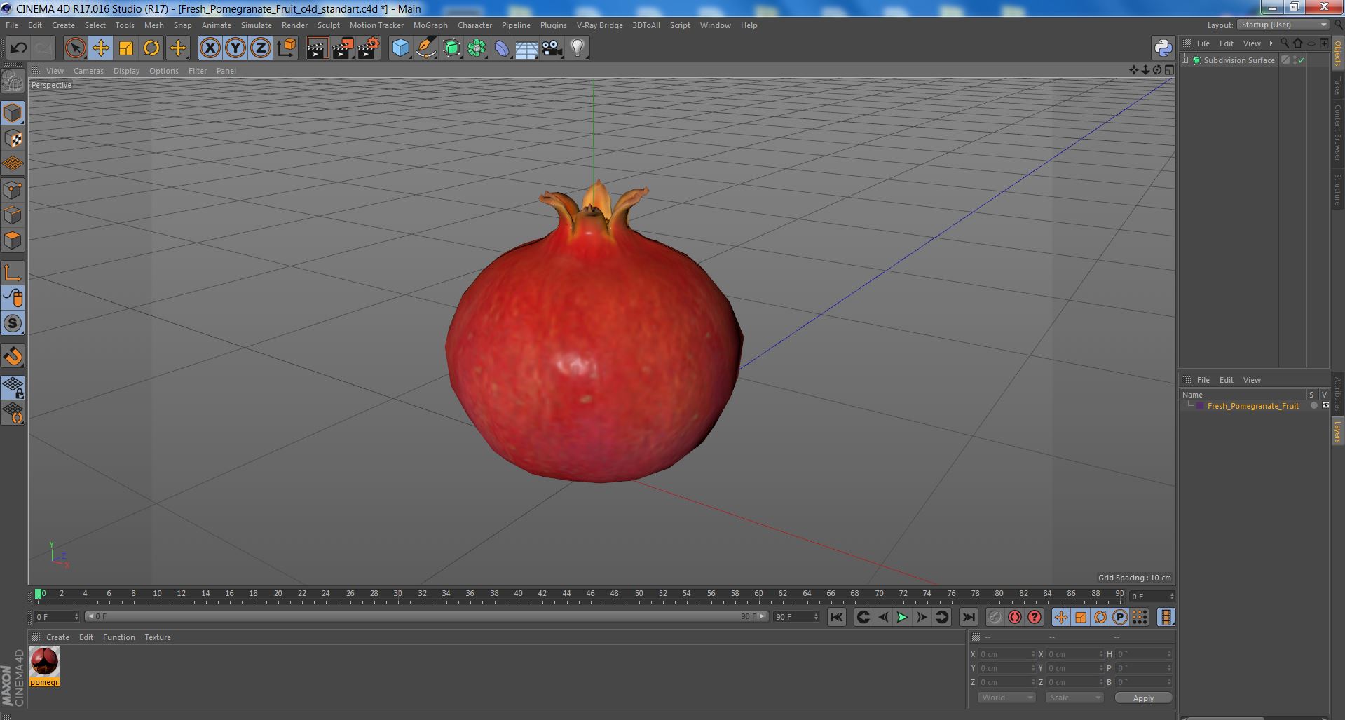 3D Fresh Pomegranate Fruit model