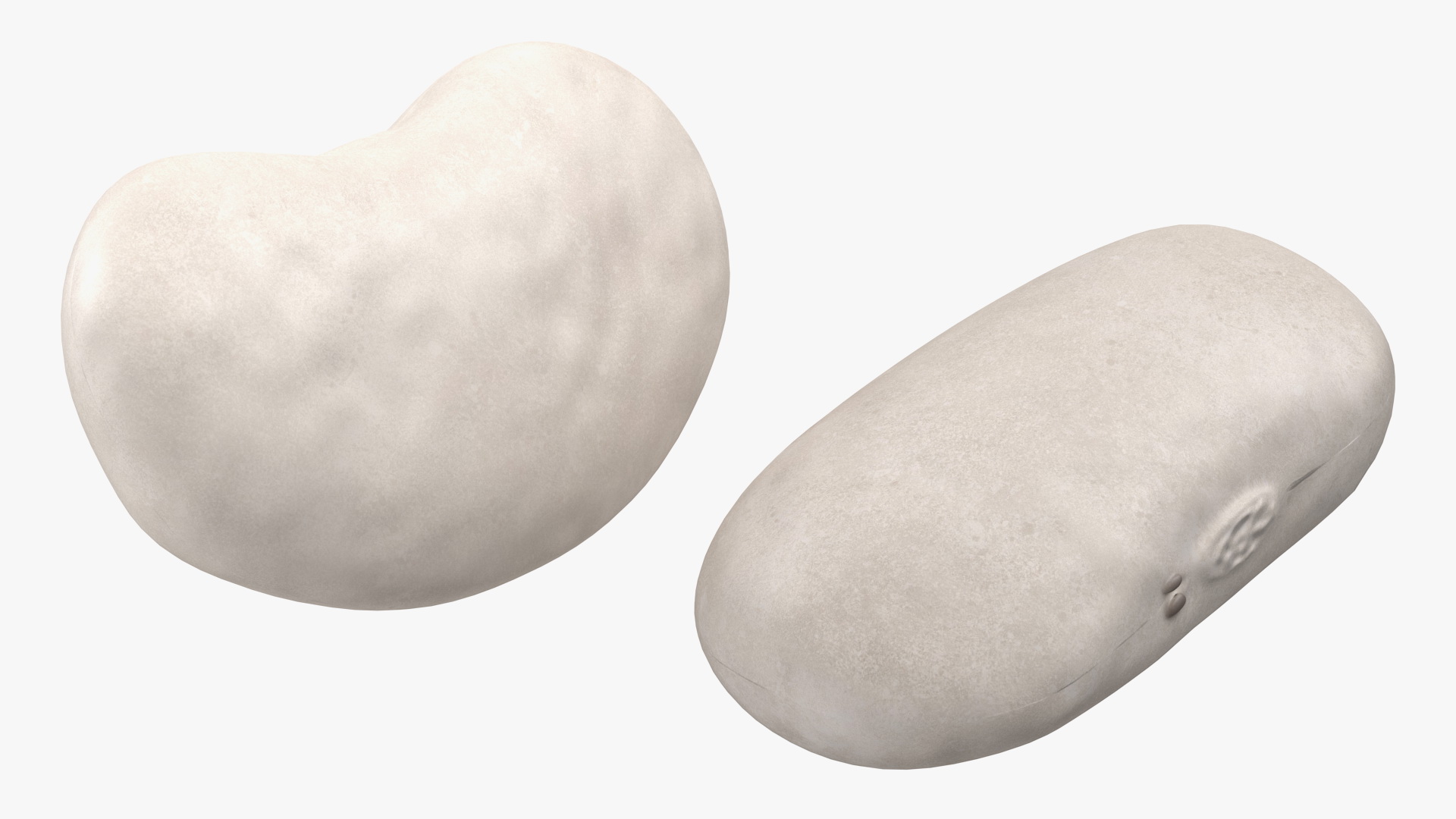 3D Wooden Spoon with White Pea Beans model
