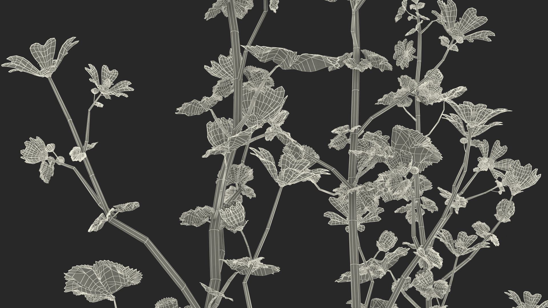 3D Wild Yellow Malva Set