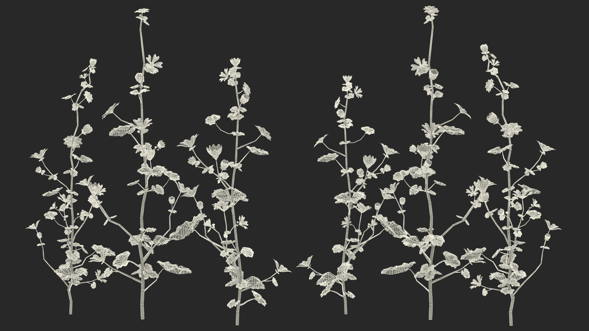 3D Wild Yellow Malva Set