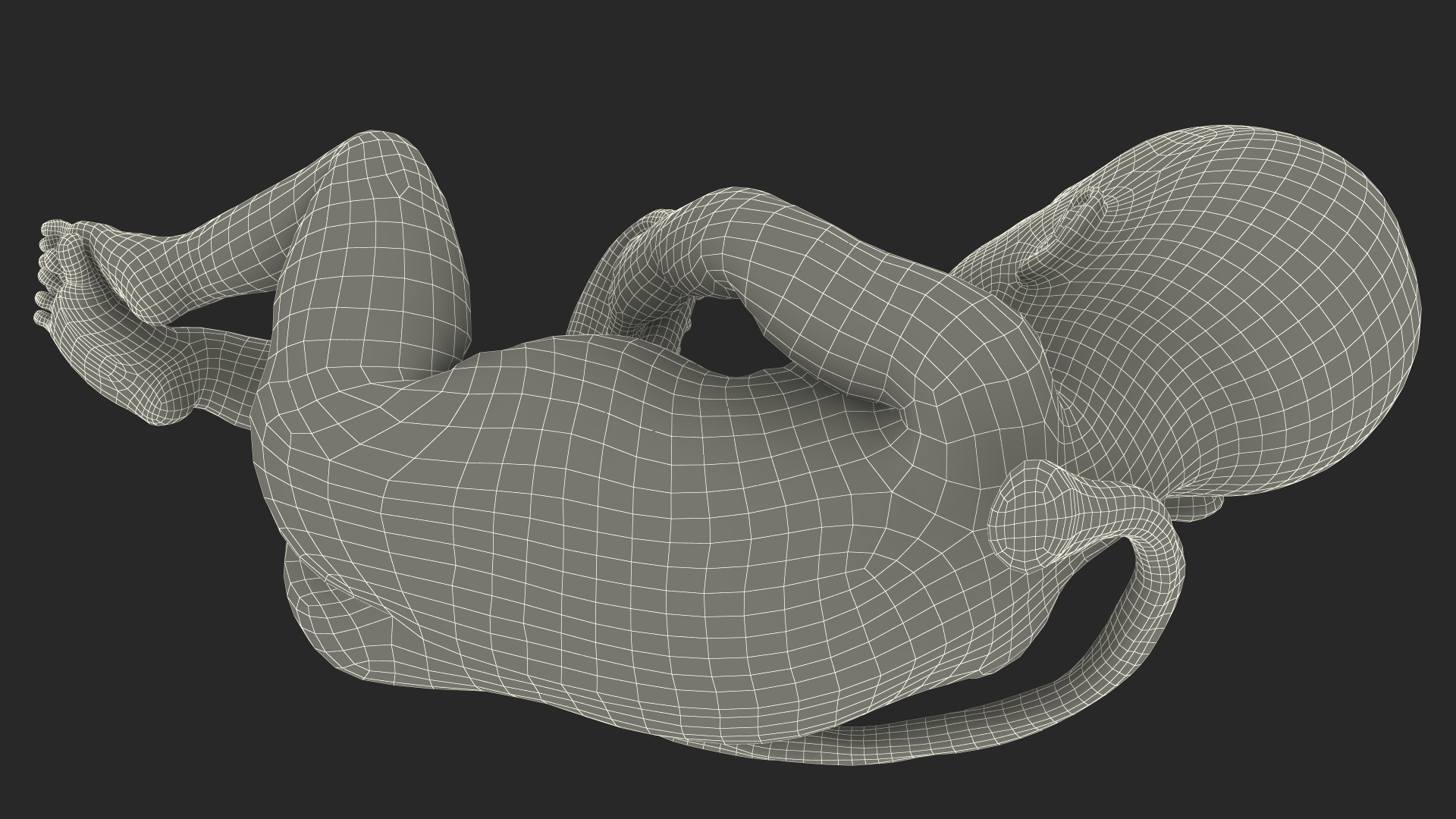 3D model Installation Artificial Uterus