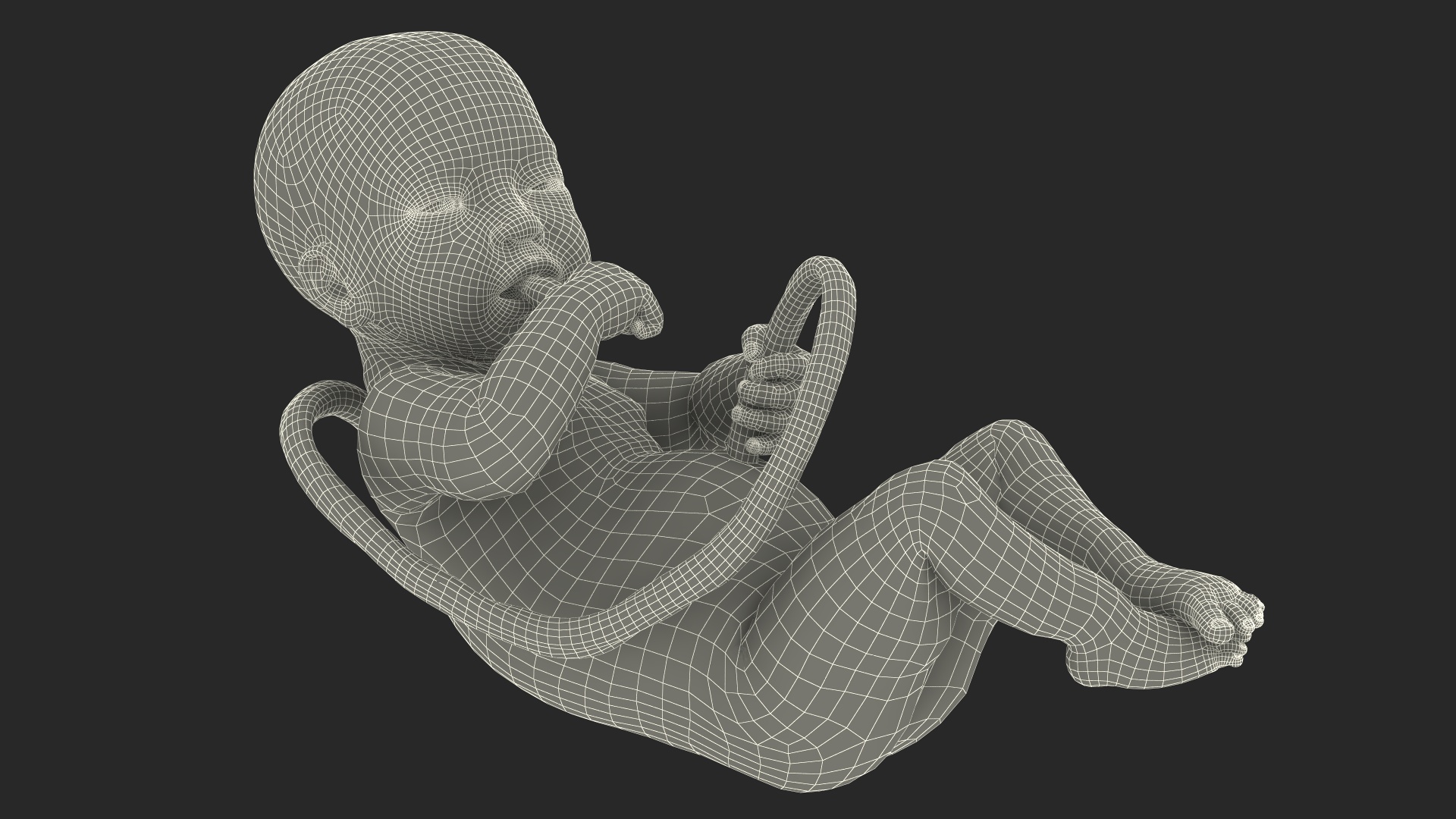 3D model Installation Artificial Uterus