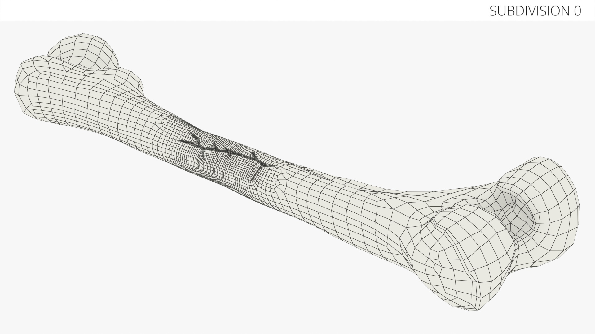 Human Femur Bone Anatomy - view 8