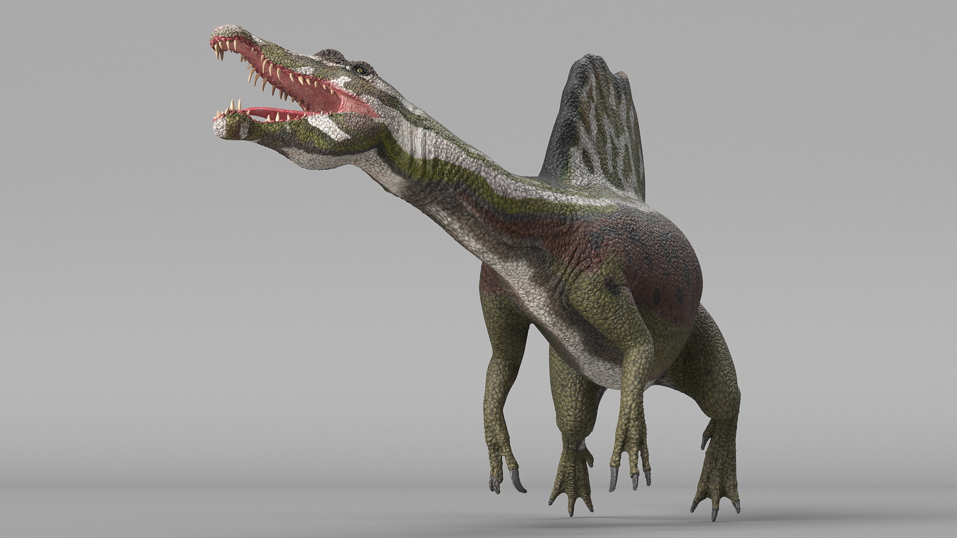 3D model Dinosaur Spinosaurus Green Swimming Pose