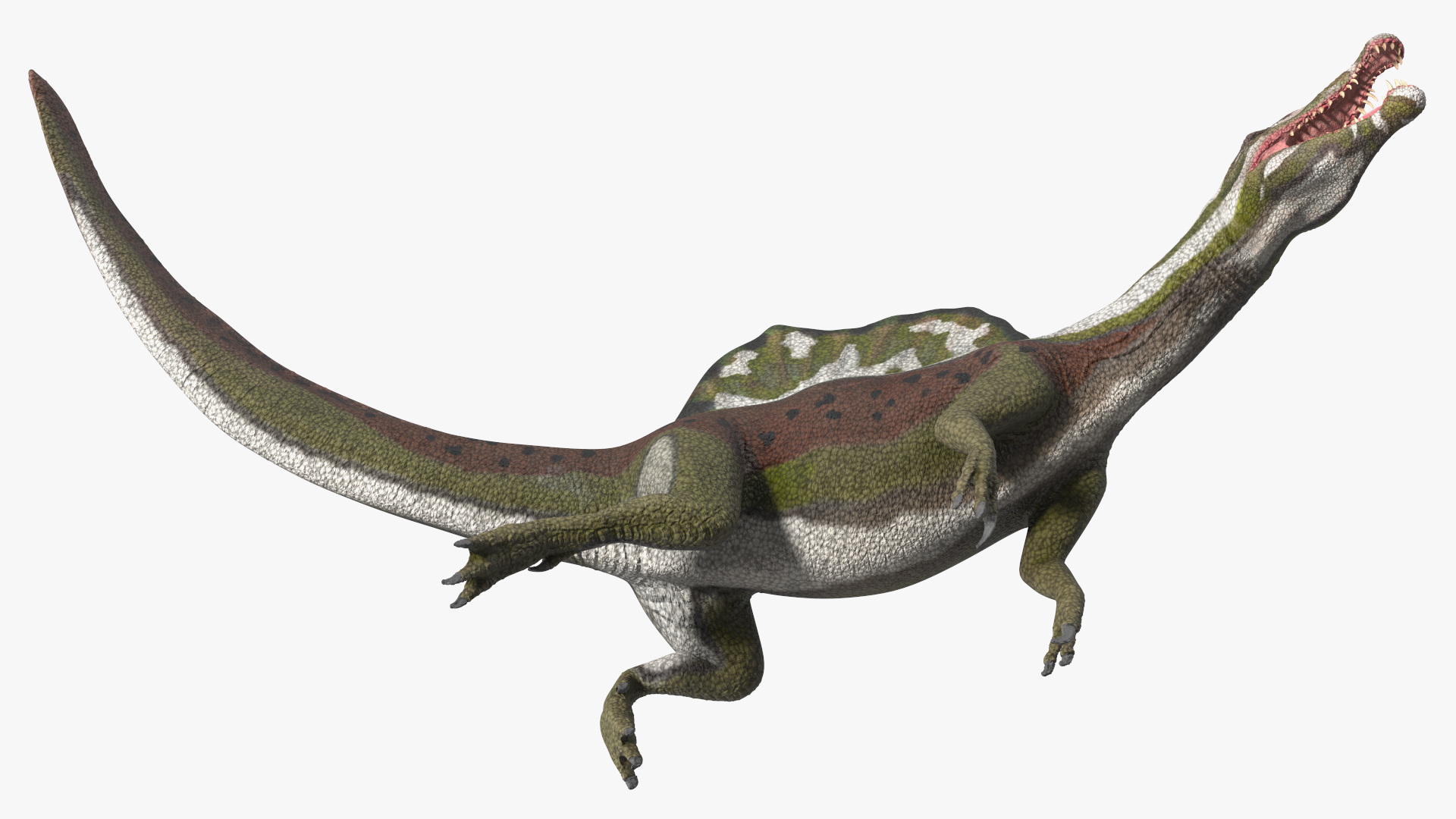 3D model Dinosaur Spinosaurus Green Swimming Pose