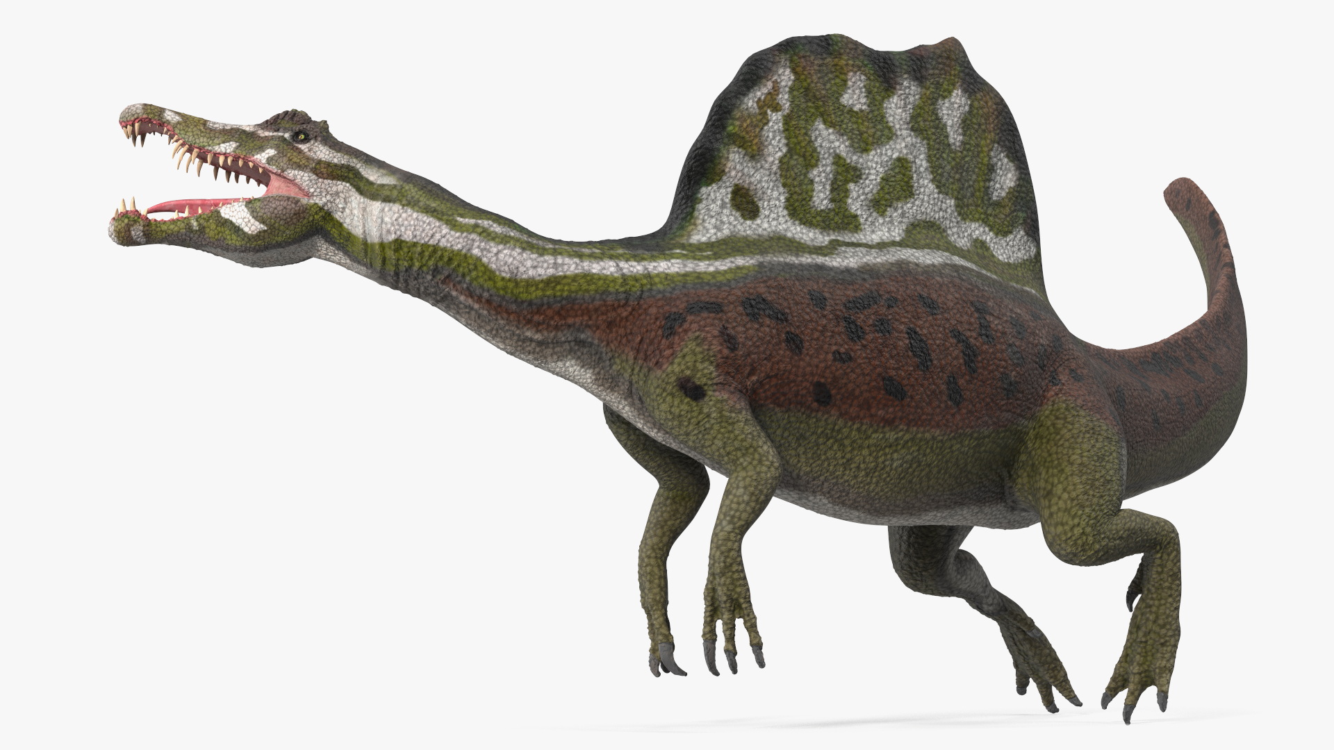 3D model Dinosaur Spinosaurus Green Swimming Pose
