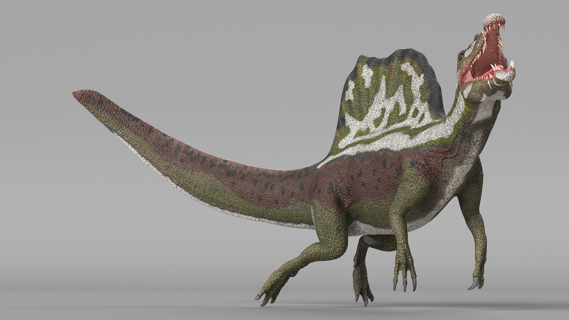 3D model Dinosaur Spinosaurus Green Swimming Pose
