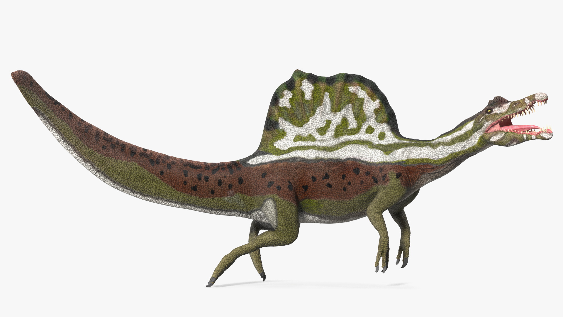 3D model Dinosaur Spinosaurus Green Swimming Pose