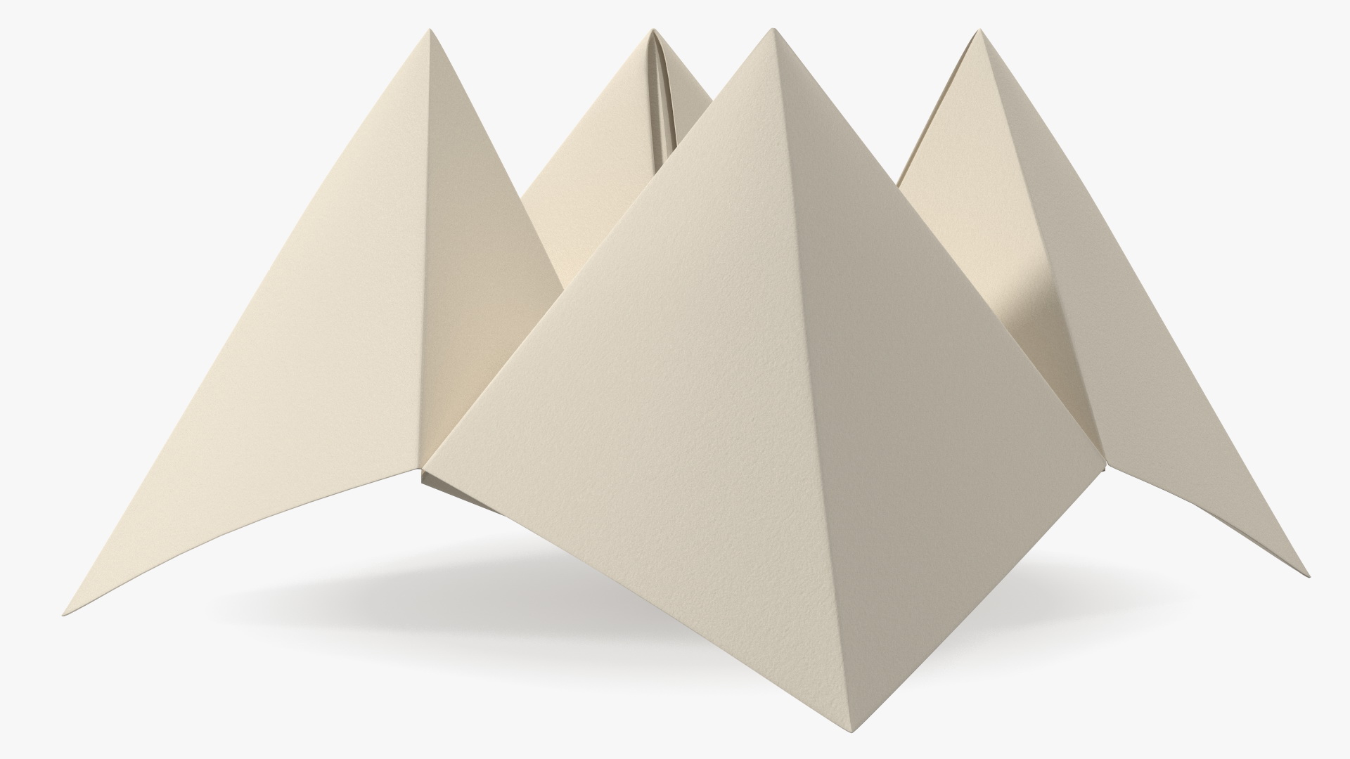 Cootie Catcher Origami 3D