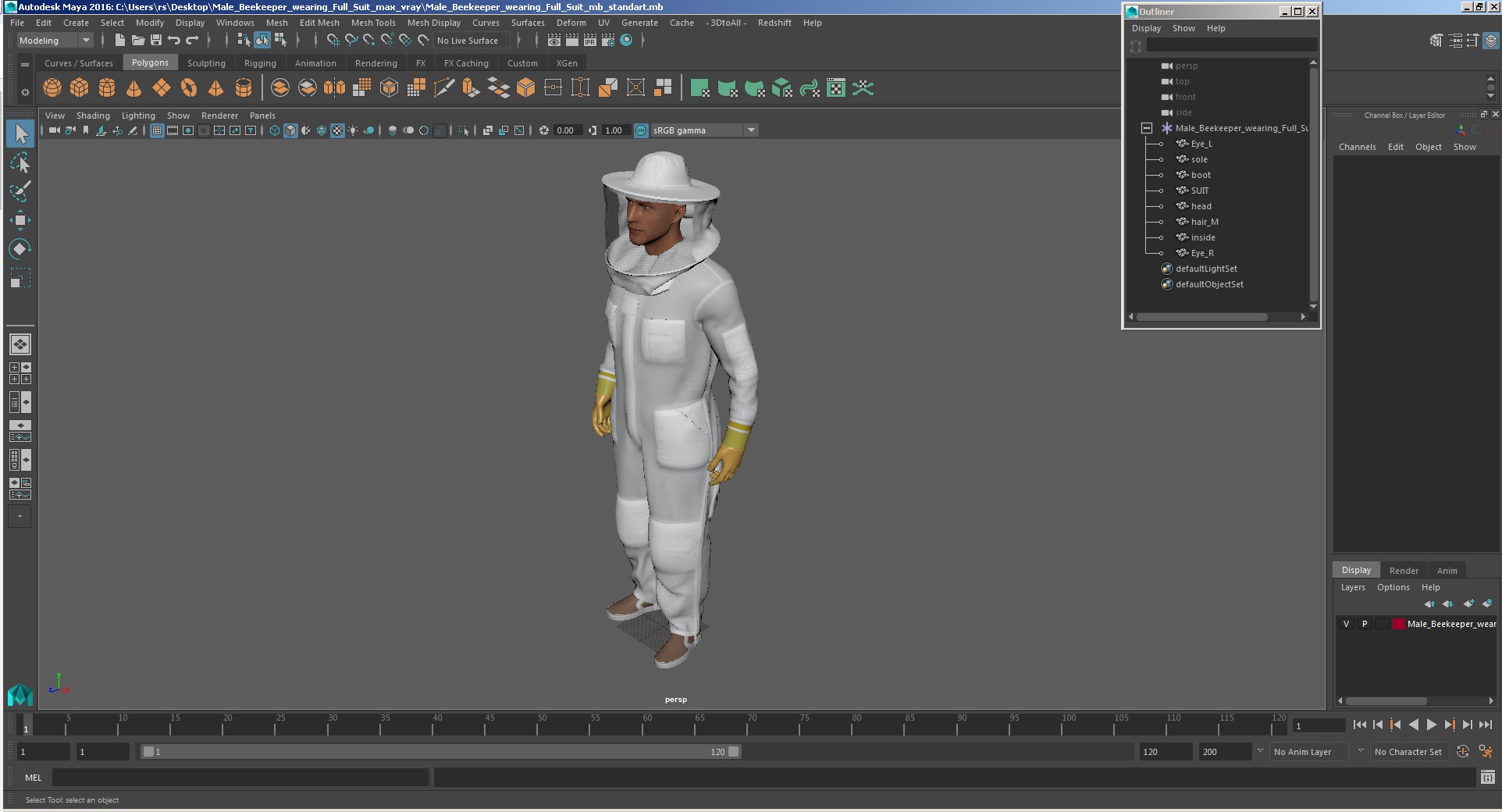 Male Beekeeper wearing Full Suit 3D