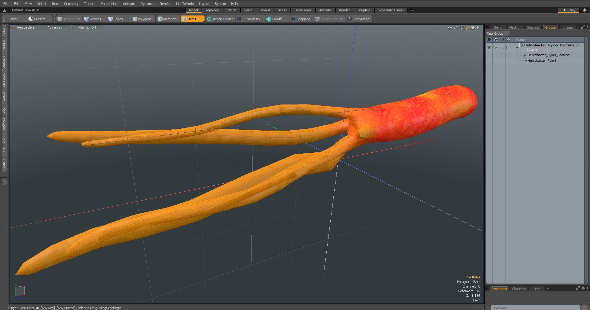 3D Helicobacter Pylori Bacteria model