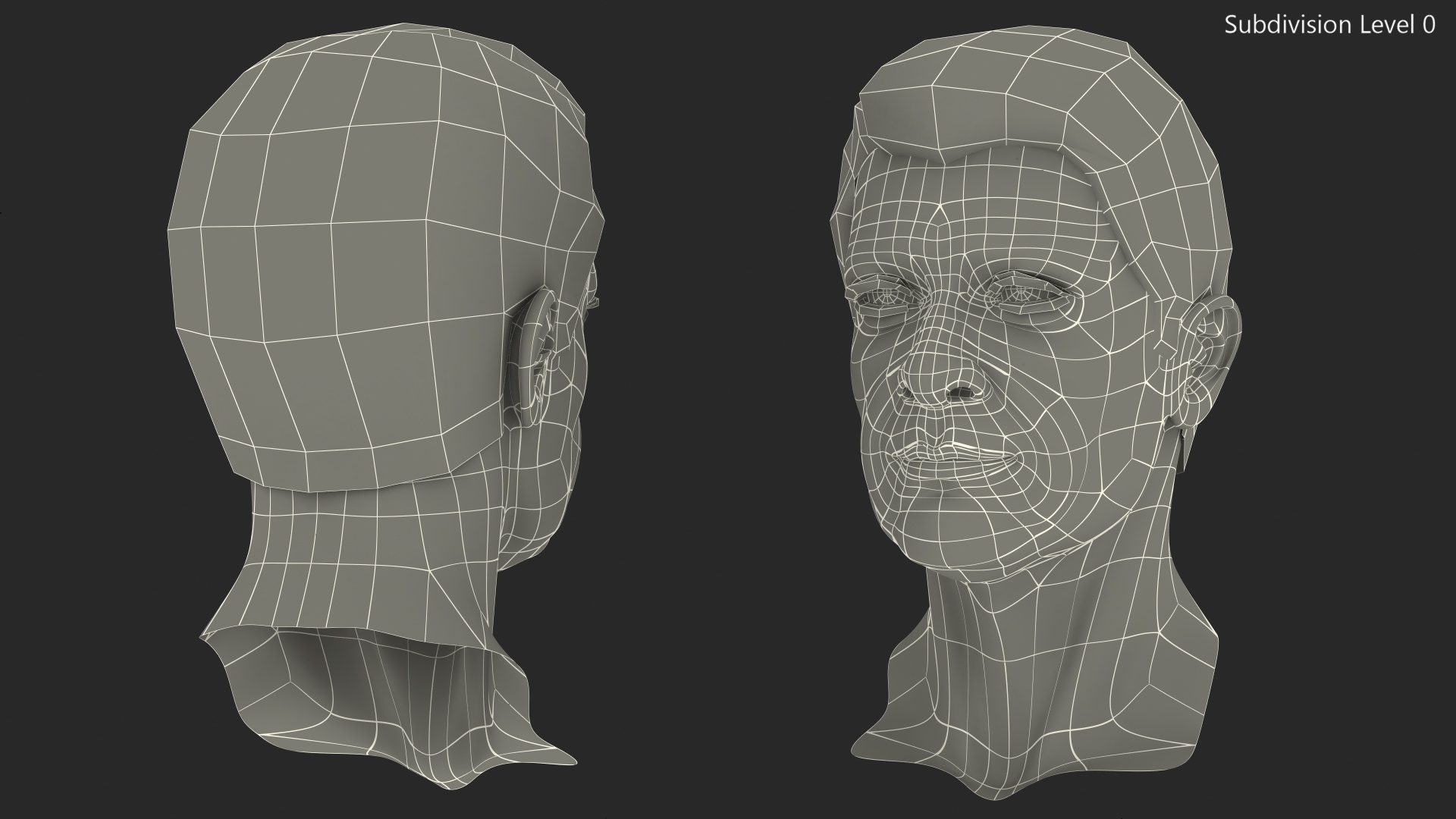 3D Elderly Man Head