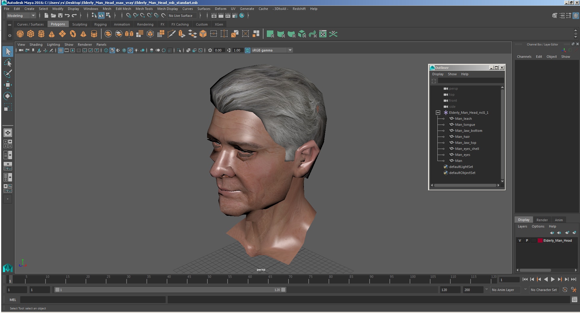 3D Elderly Man Head