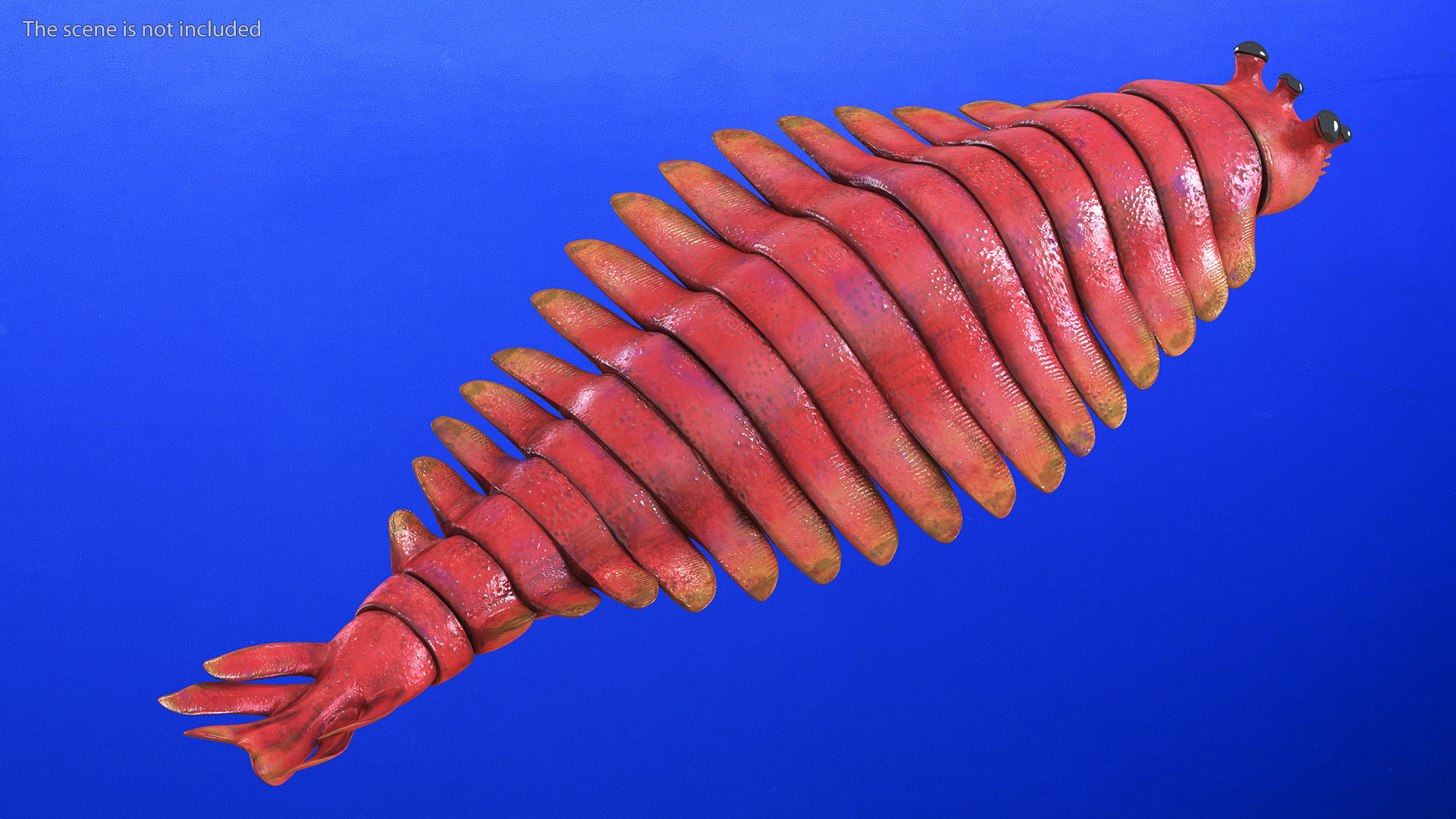 Pink Opabinia Swimming 3D