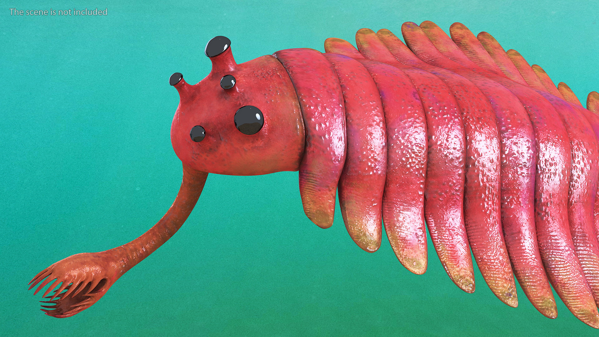 Pink Opabinia Swimming 3D