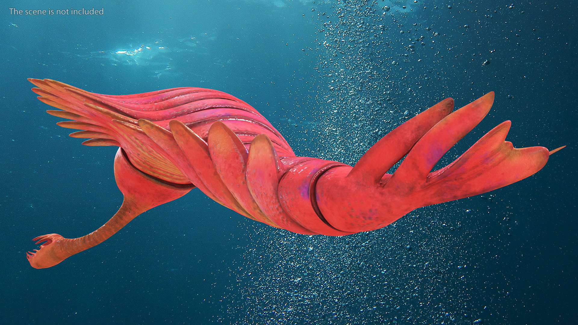 Pink Opabinia Swimming 3D