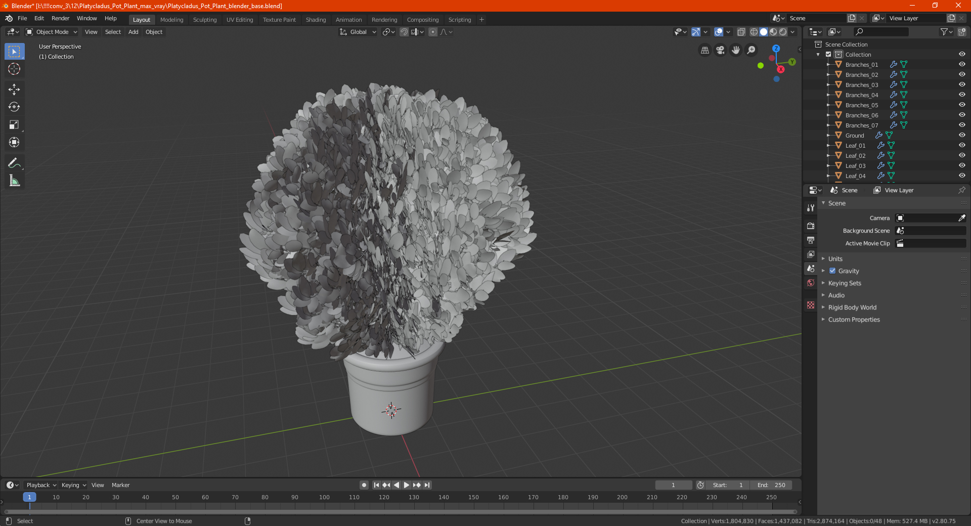 3D Platycladus Pot Plant
