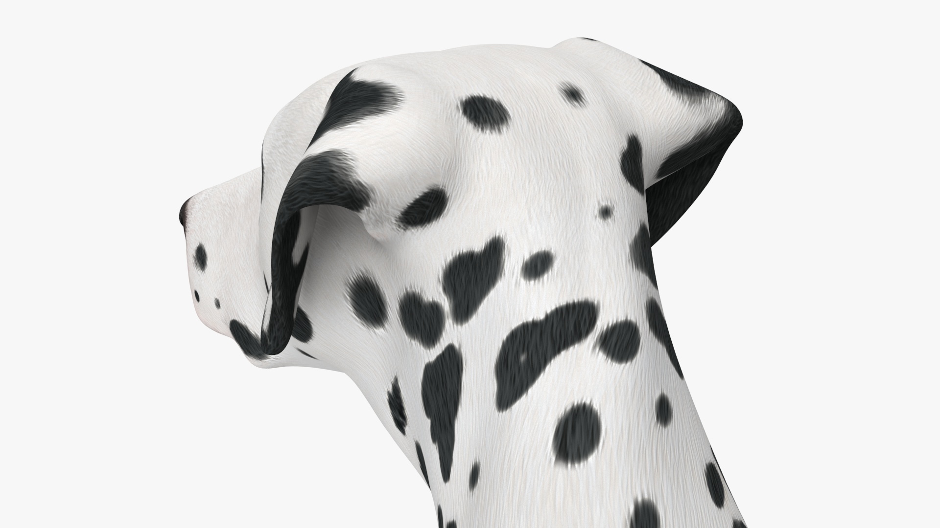 3D Spotted Dalmatian Dog Rigged model