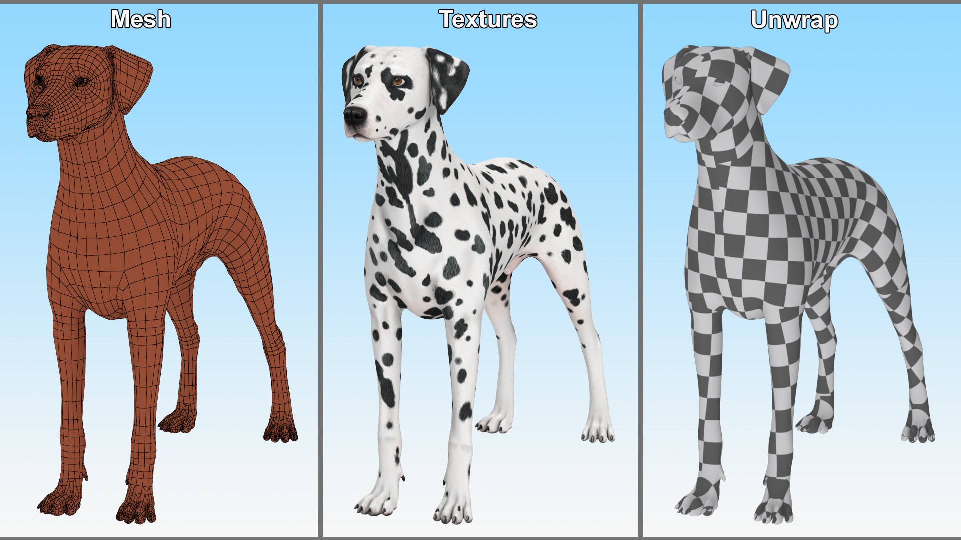 3D Spotted Dalmatian Dog Rigged model
