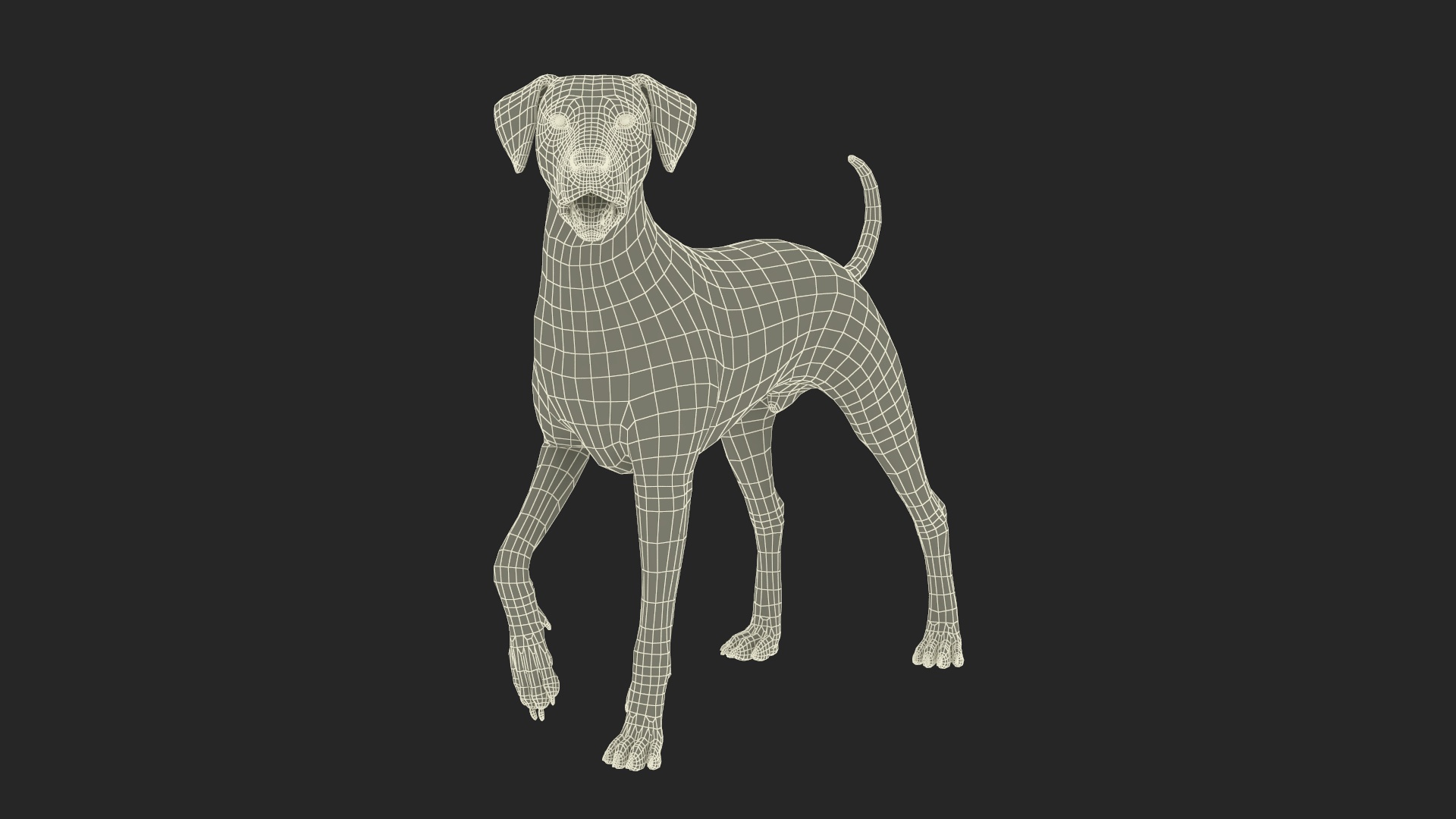 3D Spotted Dalmatian Dog Rigged model