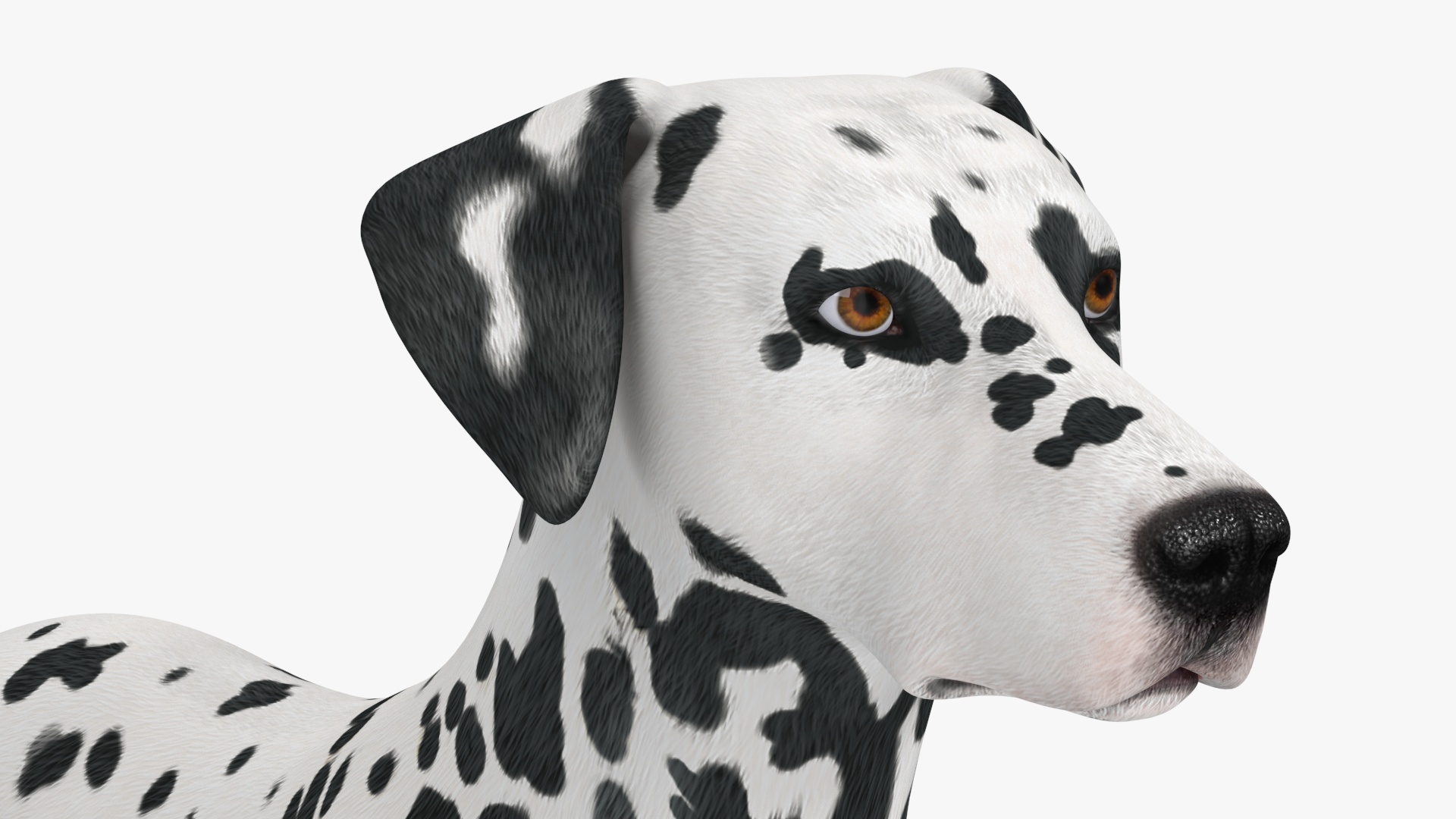 3D Spotted Dalmatian Dog Rigged model