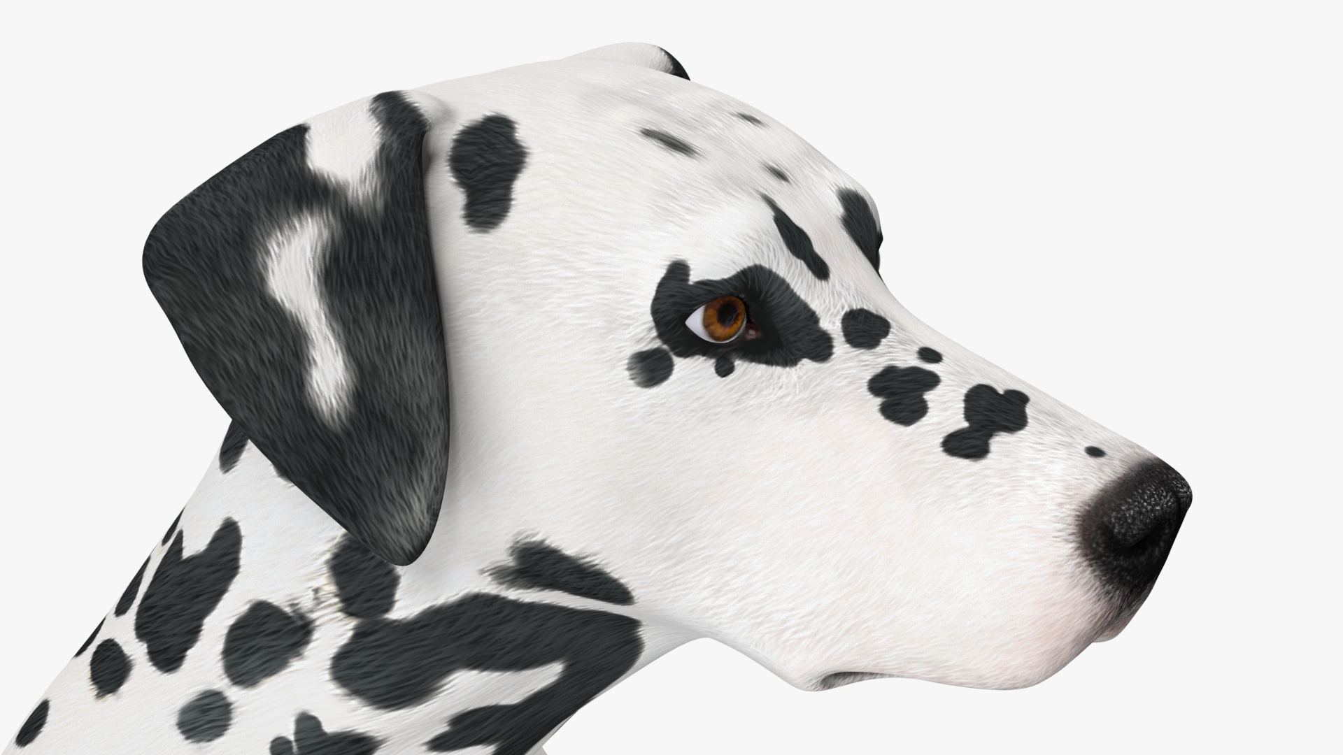 3D Spotted Dalmatian Dog Rigged model