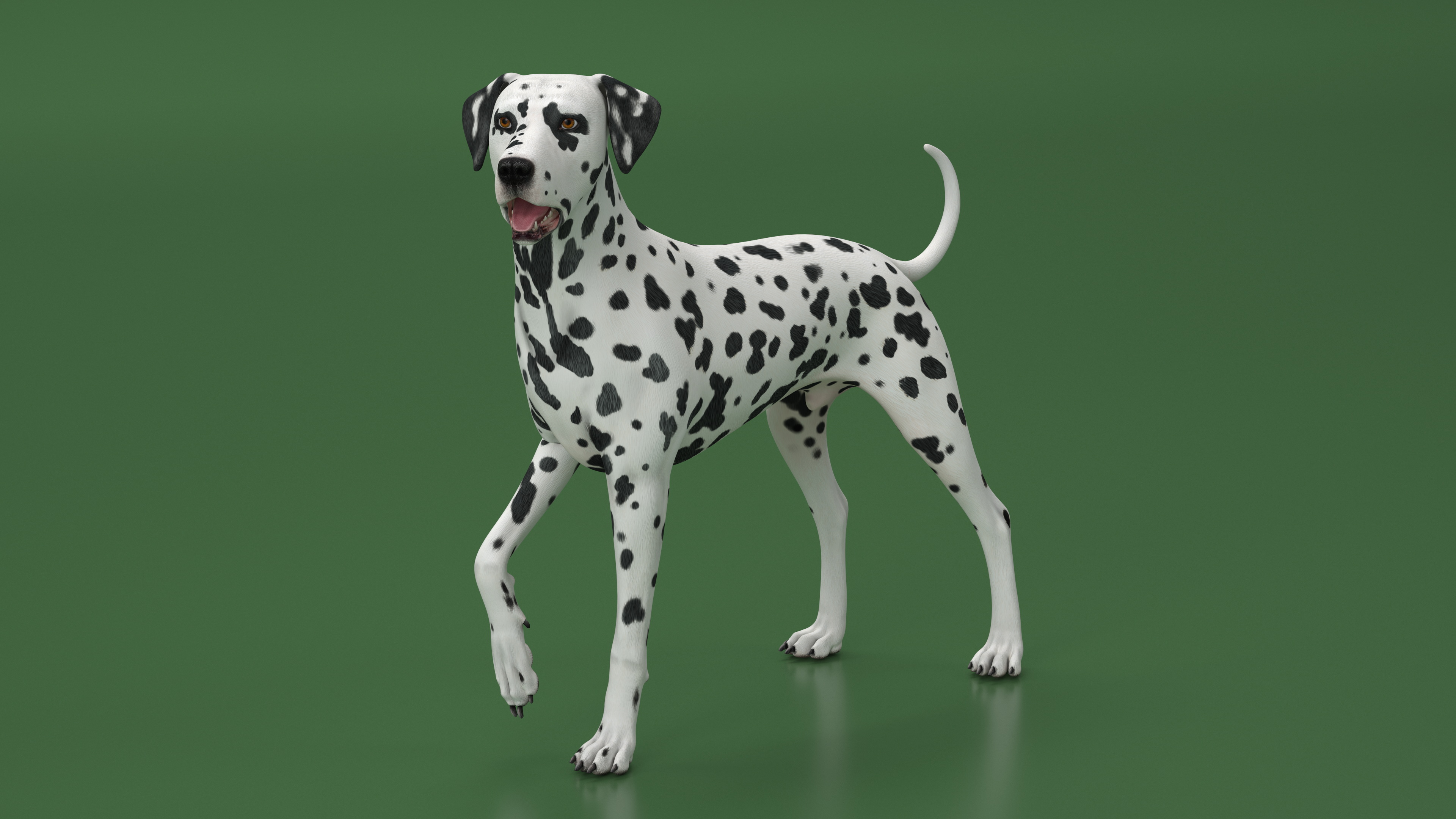 3D Spotted Dalmatian Dog Rigged model