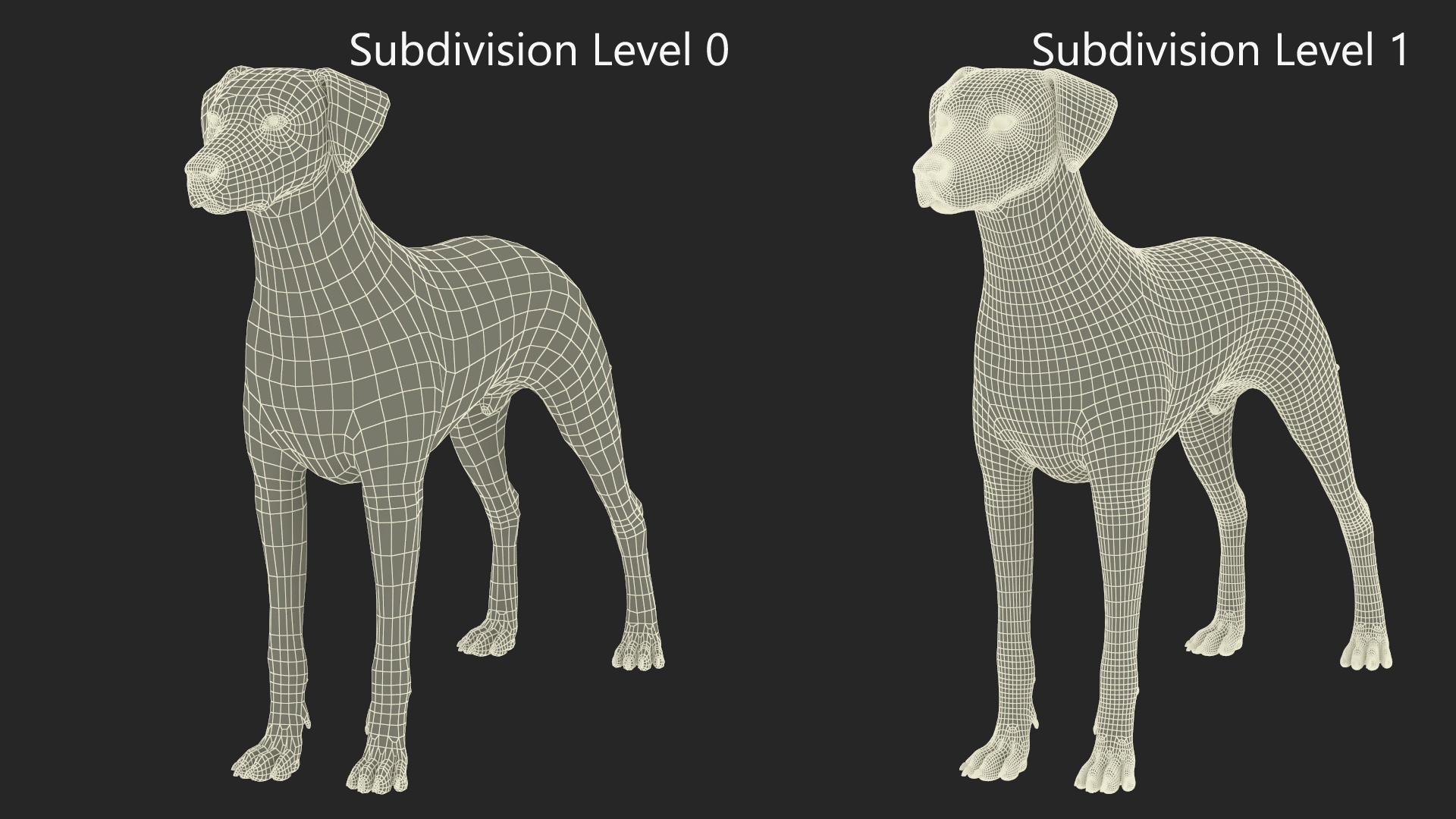3D Spotted Dalmatian Dog Rigged model