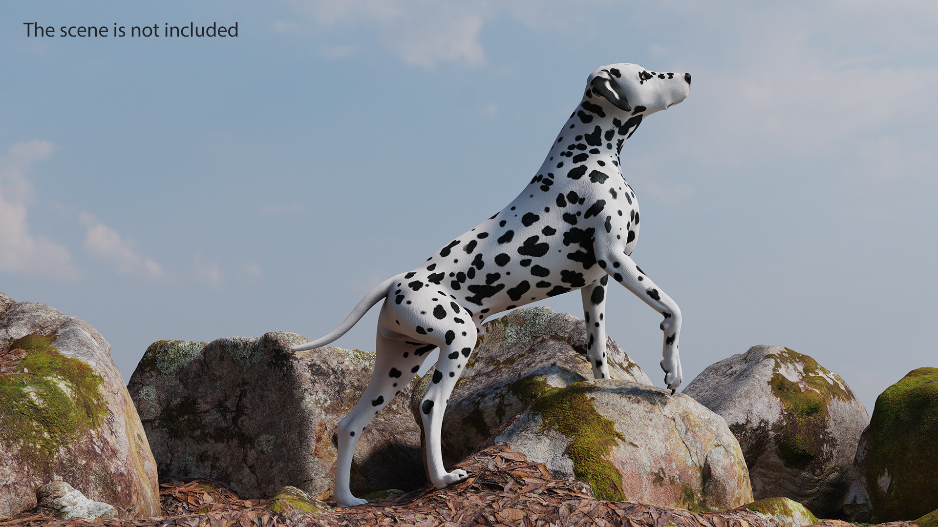 3D Spotted Dalmatian Dog Rigged model