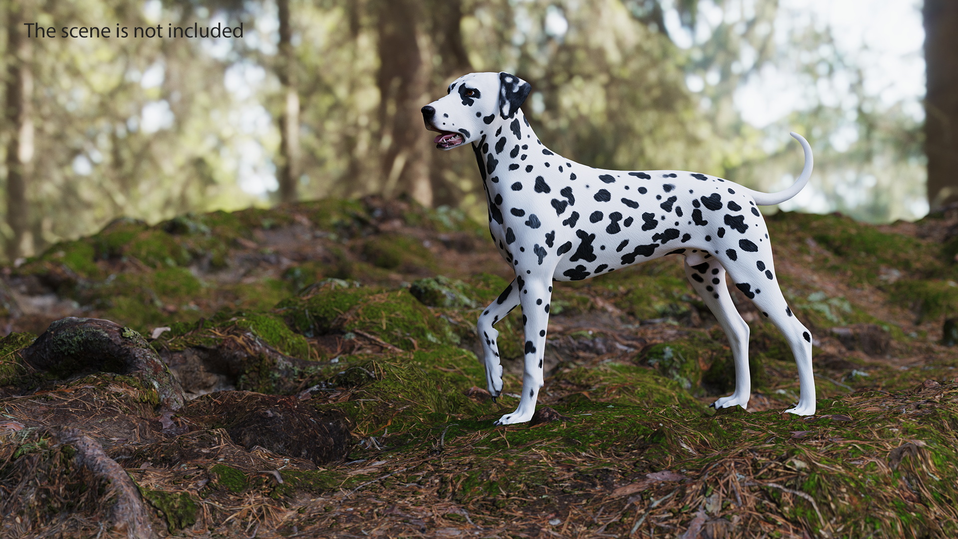 3D Spotted Dalmatian Dog Rigged model