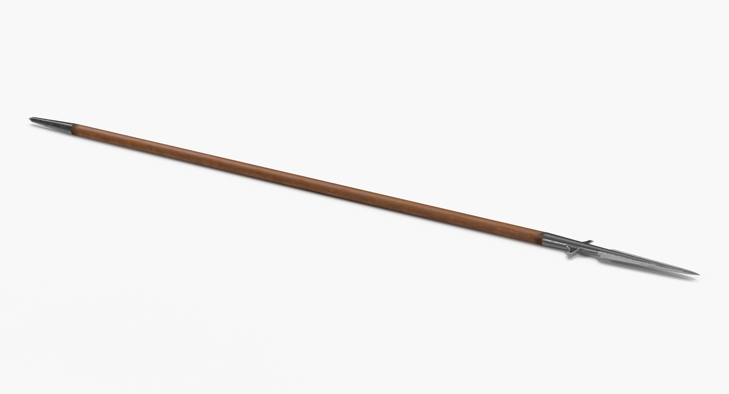 Viking Spear 3D