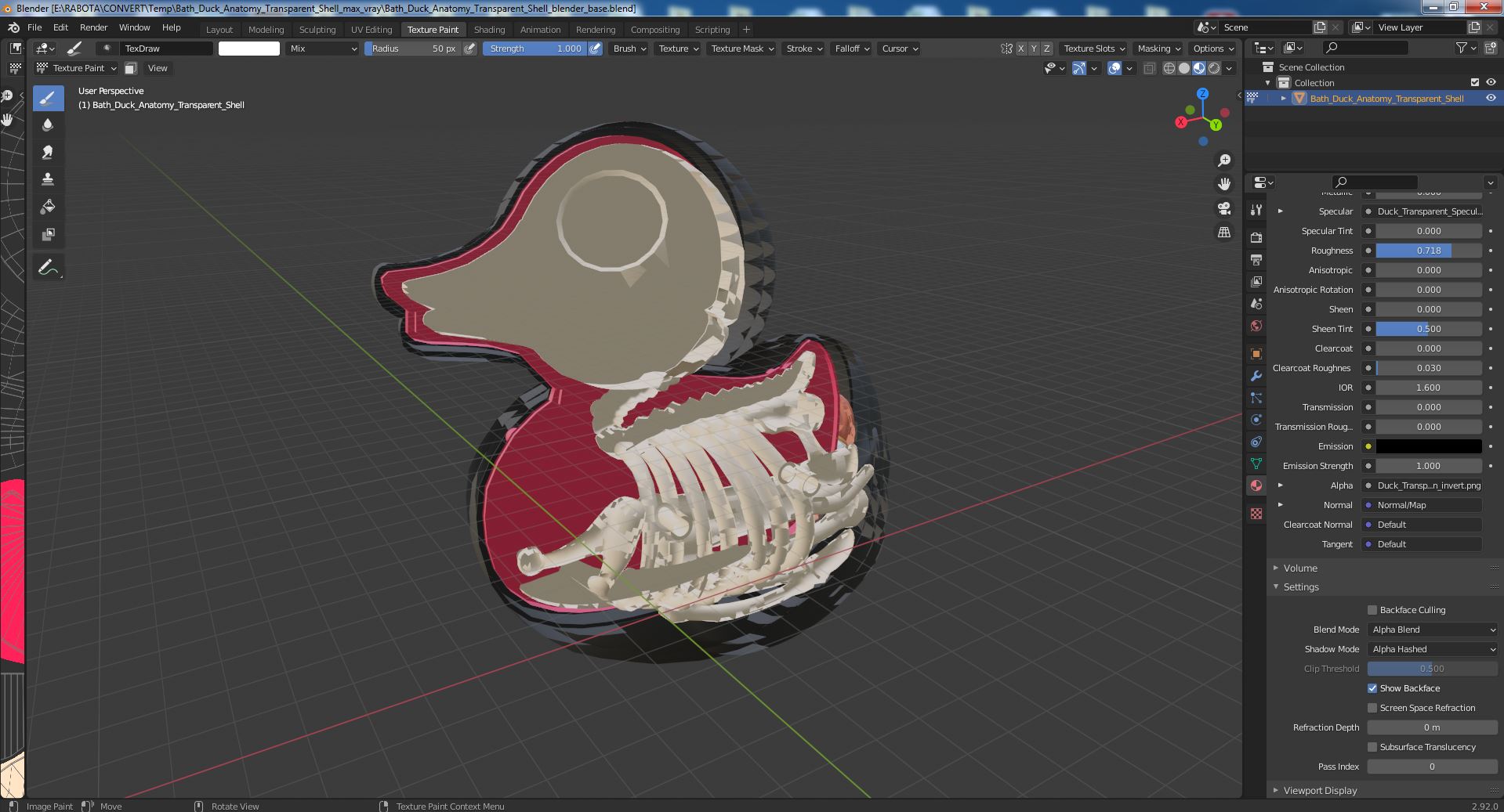 3D model Bath Duck Anatomy Transparent Shell