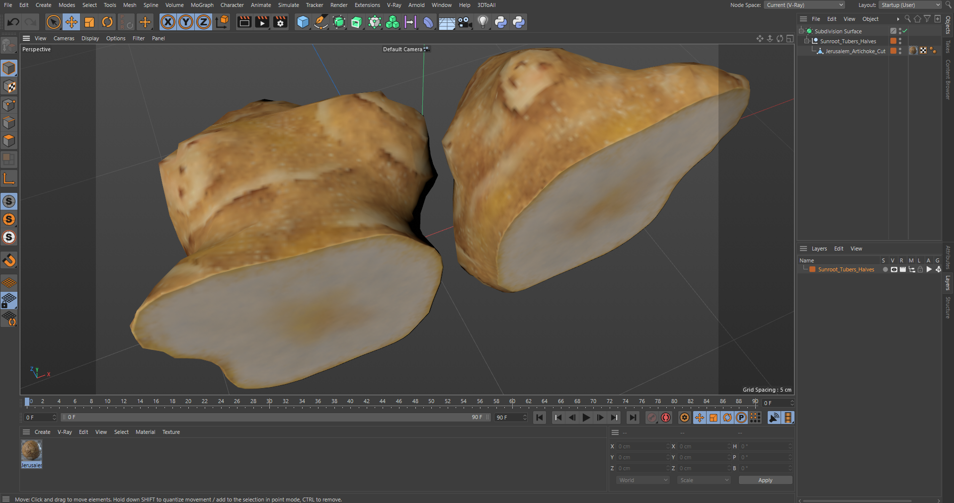3D Sunroot Tubers Halves