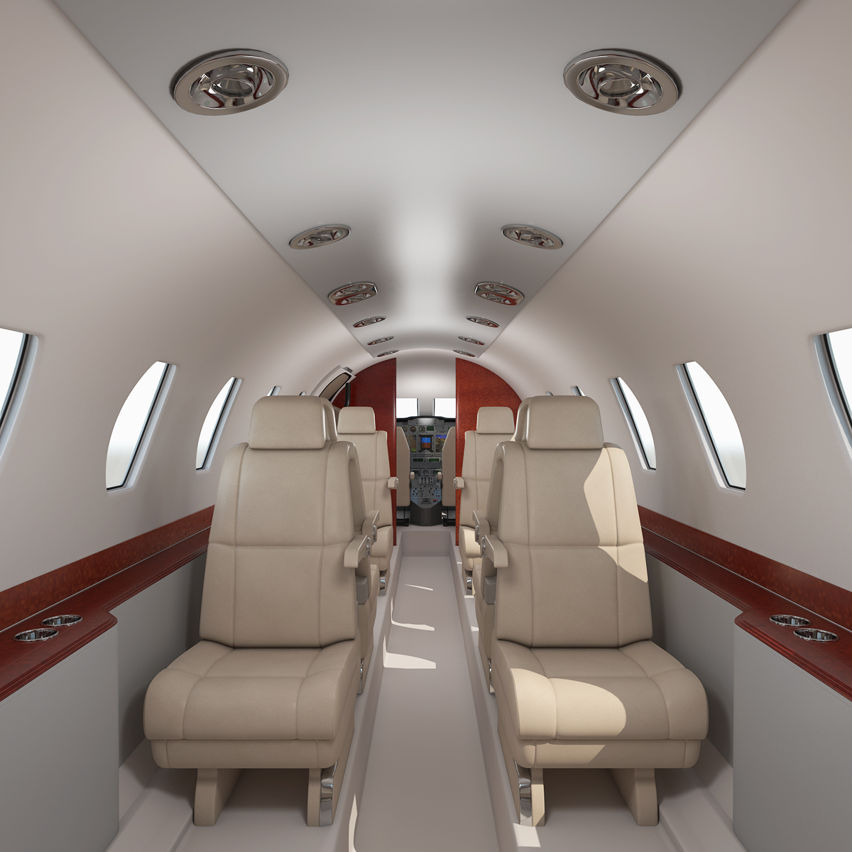Business Jet Interior with Cockpit