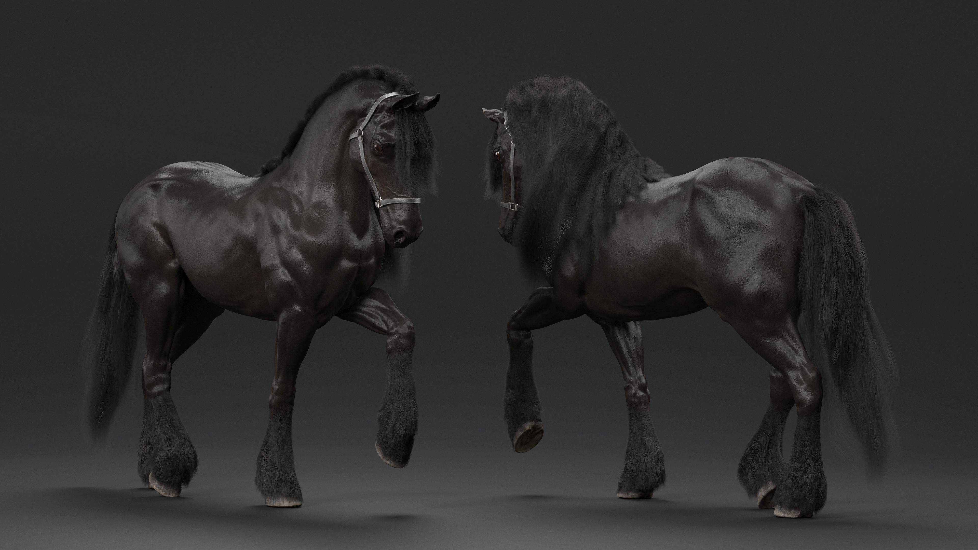 3D Walking Friesian Horse Fur