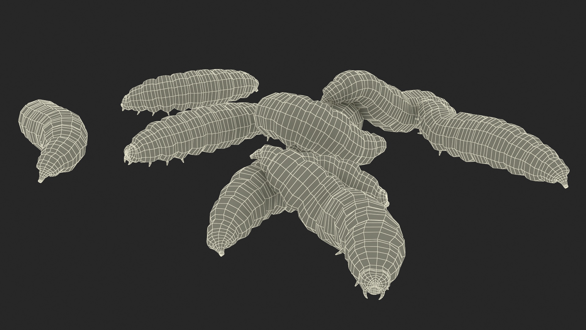 3D Maggot Fly Scene