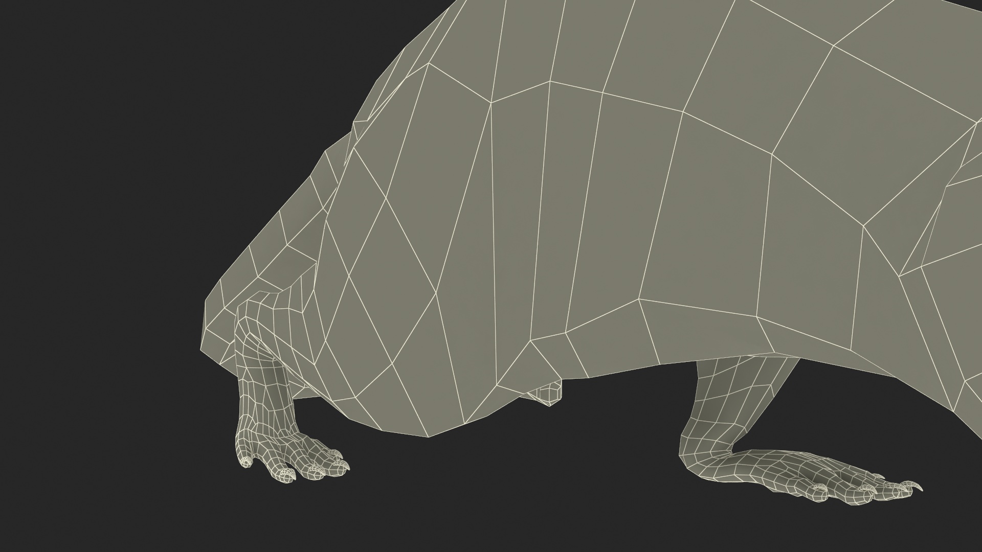Norway Rat with Fur 3D model