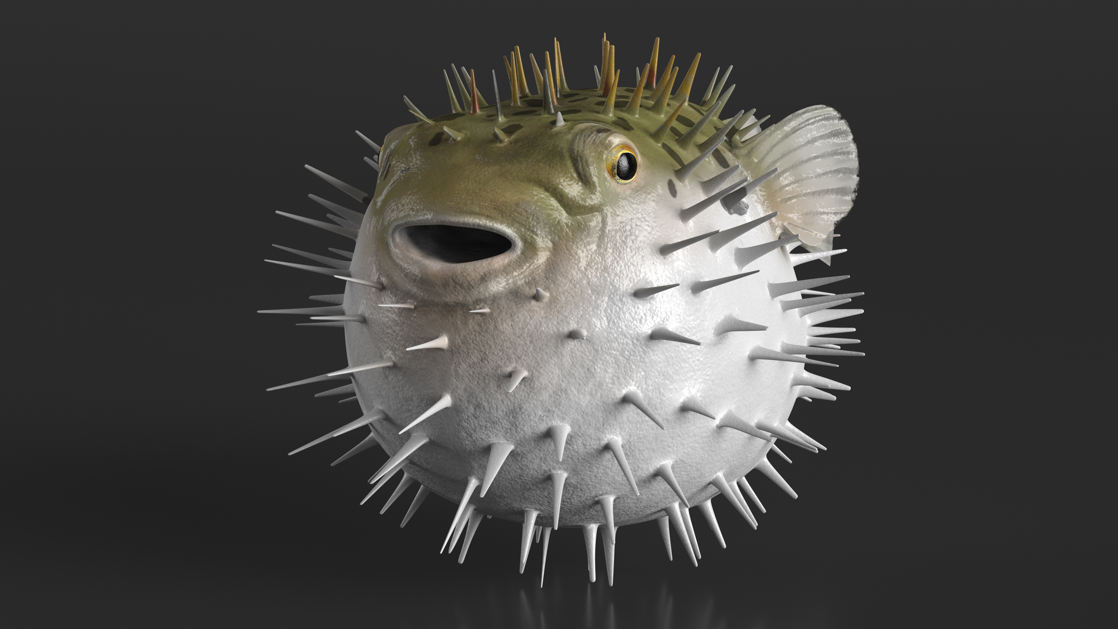 3D model Inflated Puffer Fish