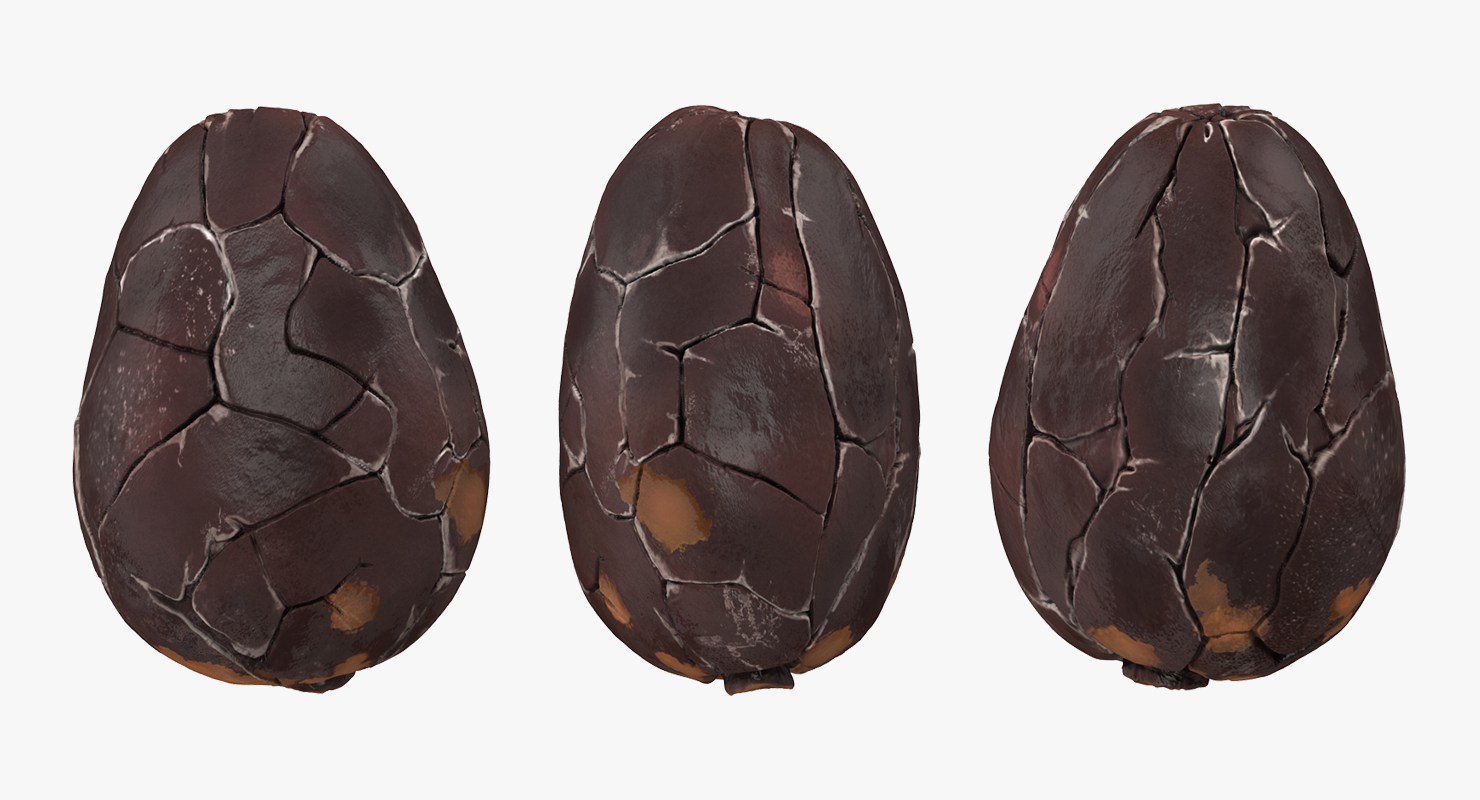 3D model Cocoa Bean
