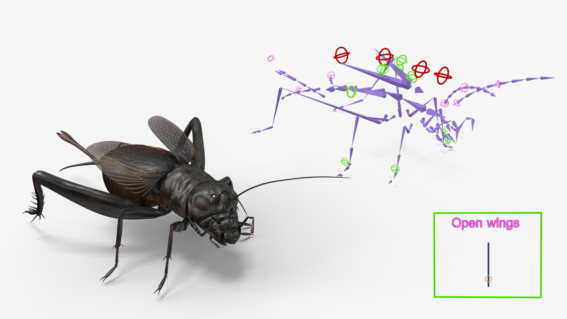 3D model Field Cricket Rigged