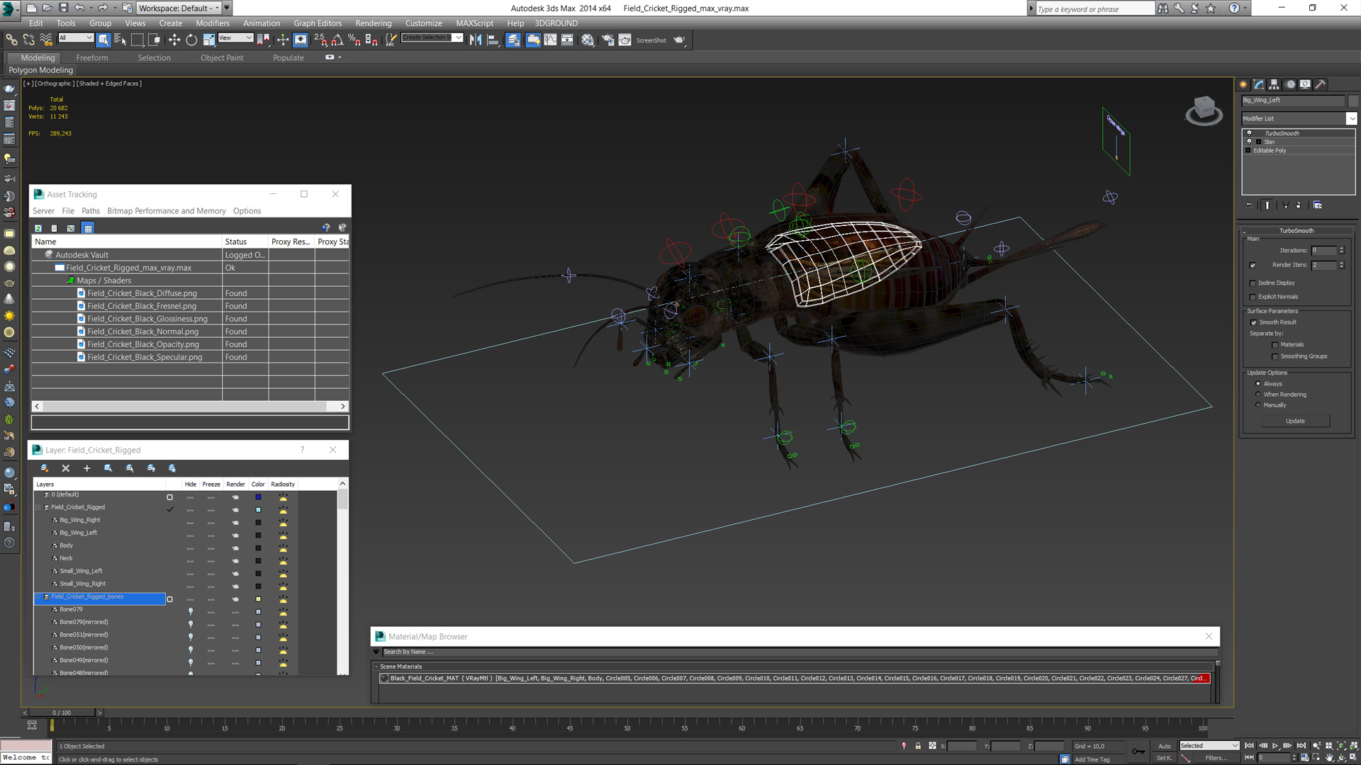 3D model Field Cricket Rigged