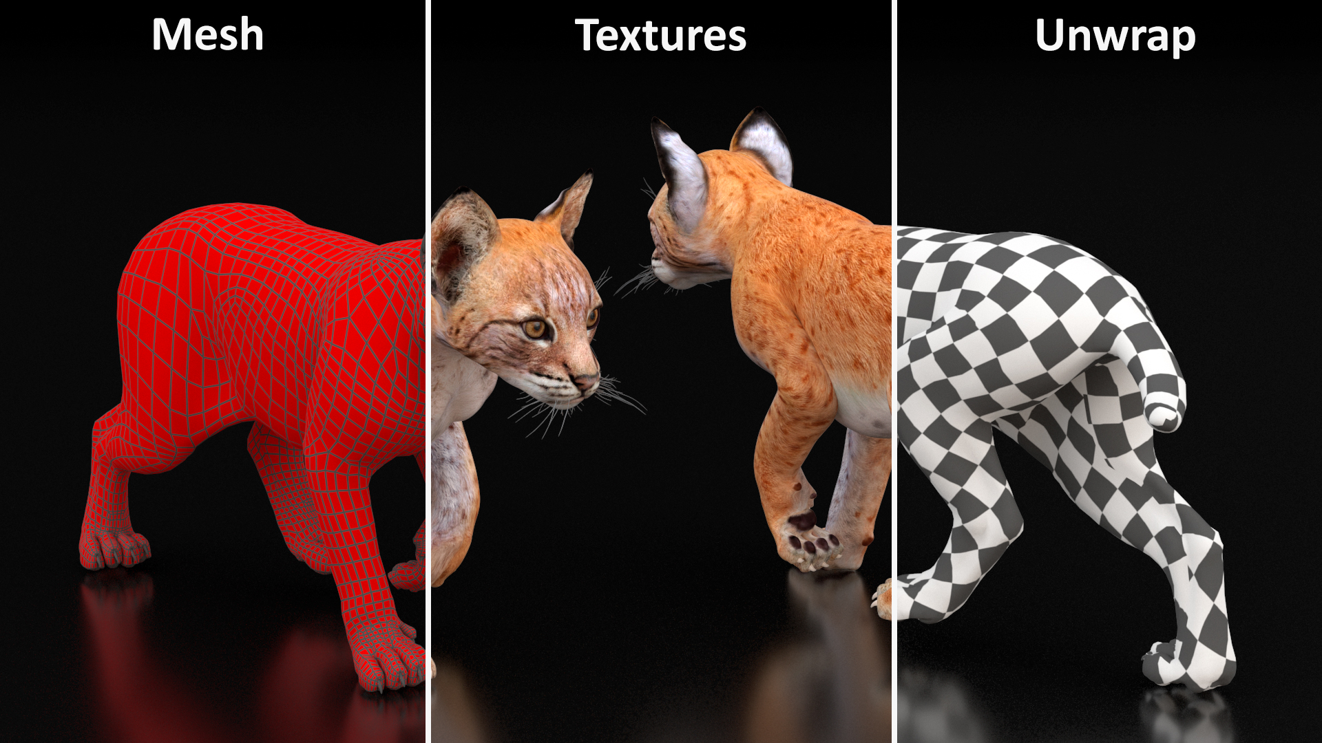 Lynx Cub in Walking Pose 3D model